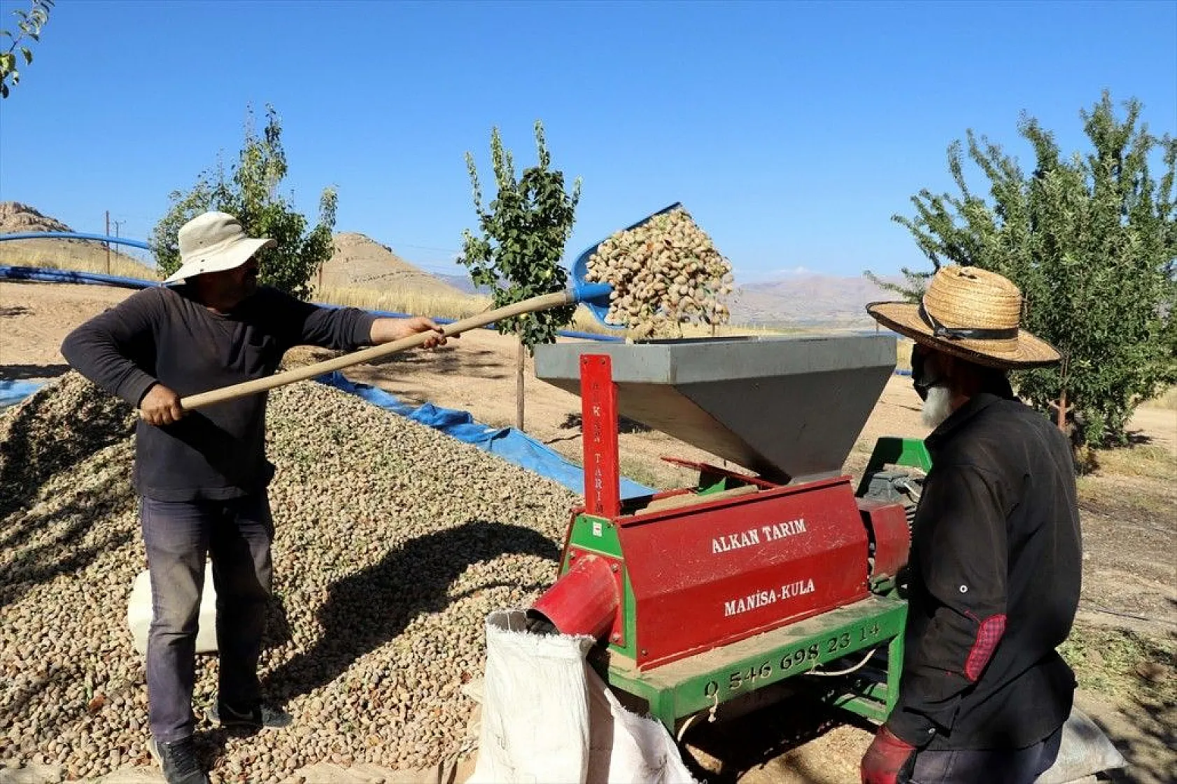 Atıl arazilerin dönüştürüldüğü badem bahçelerinde hasat zamanı