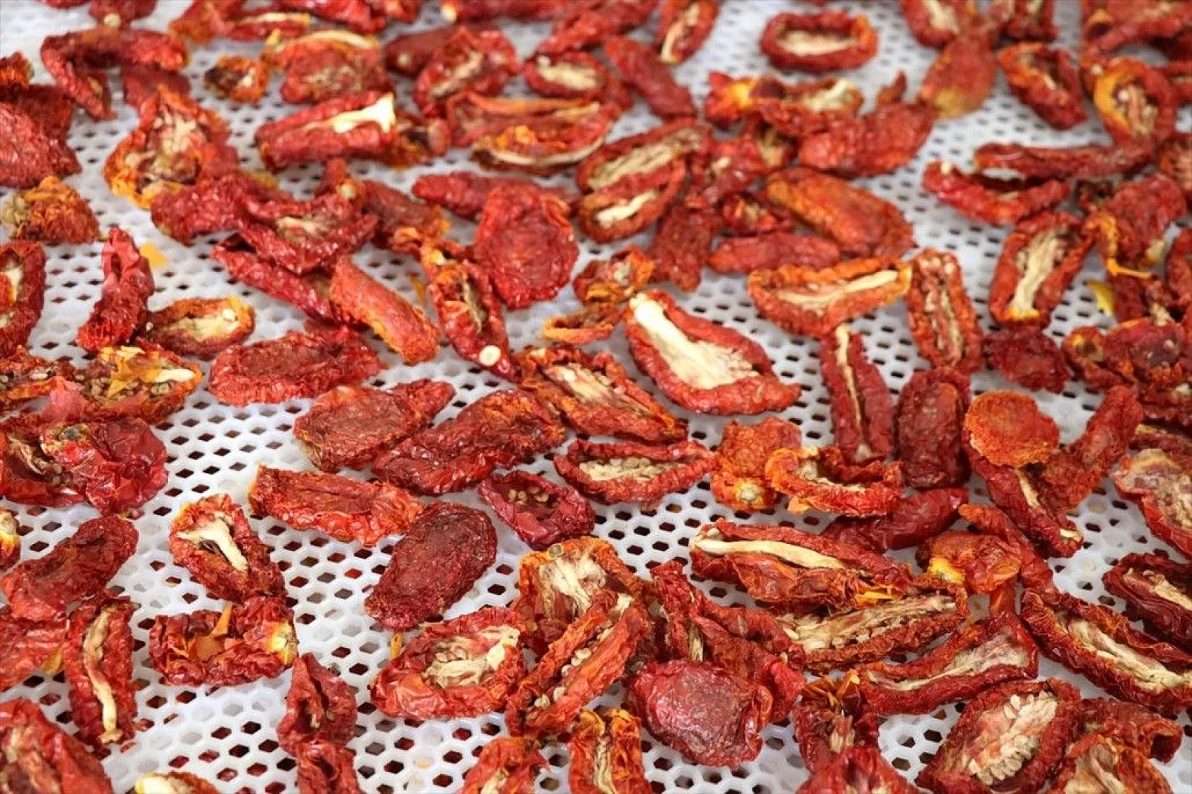 Girişimci kız kardeşler, birikimlerine devlet desteğini de katarak tesis kurdu