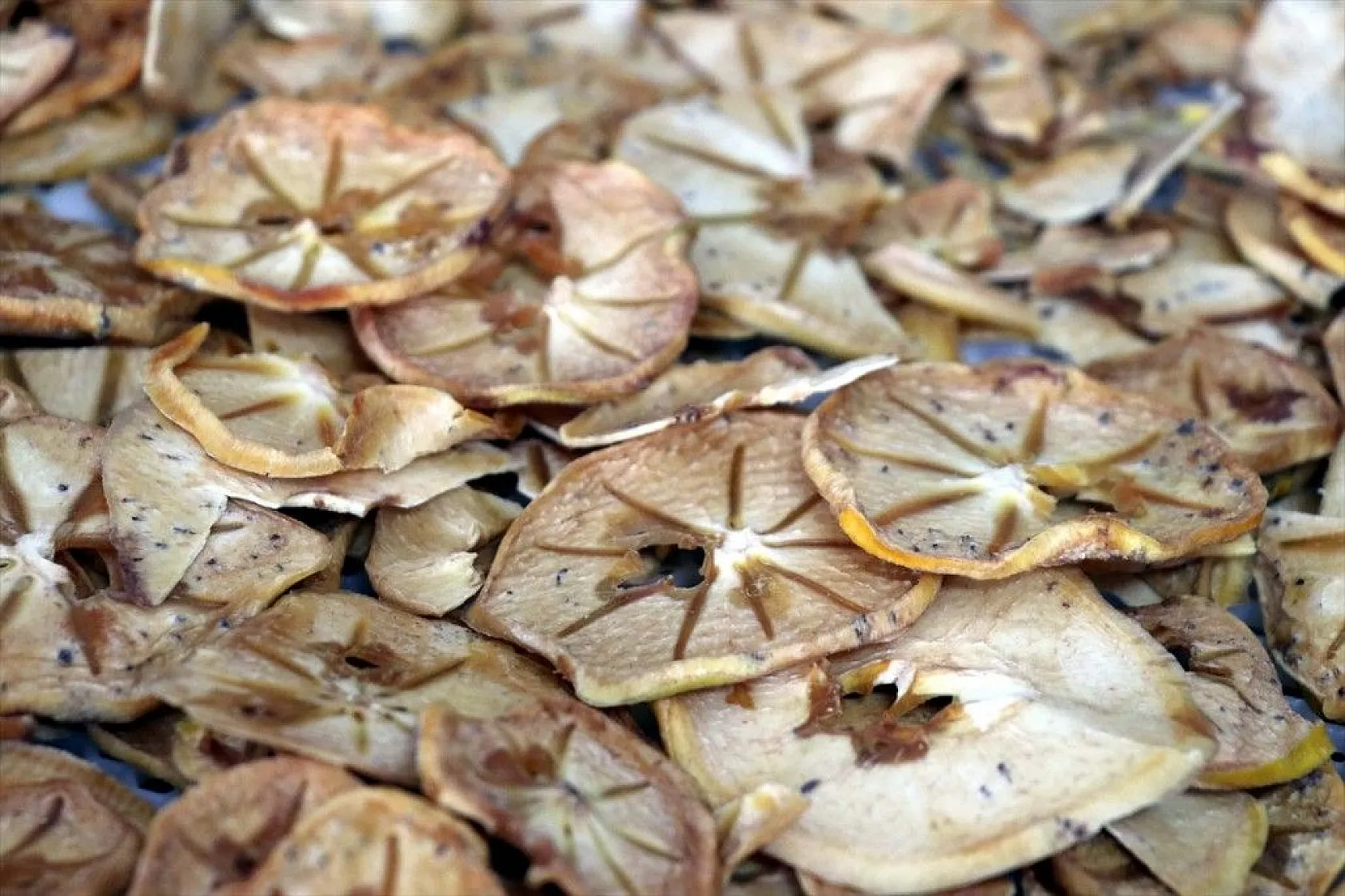 Girişimci kız kardeşler, birikimlerine devlet desteğini de katarak tesis kurdu