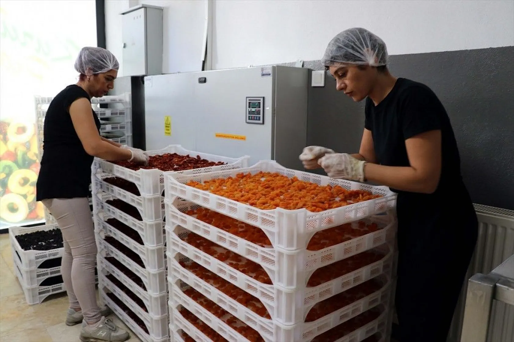 Girişimci kız kardeşler, birikimlerine devlet desteğini de katarak tesis kurdu