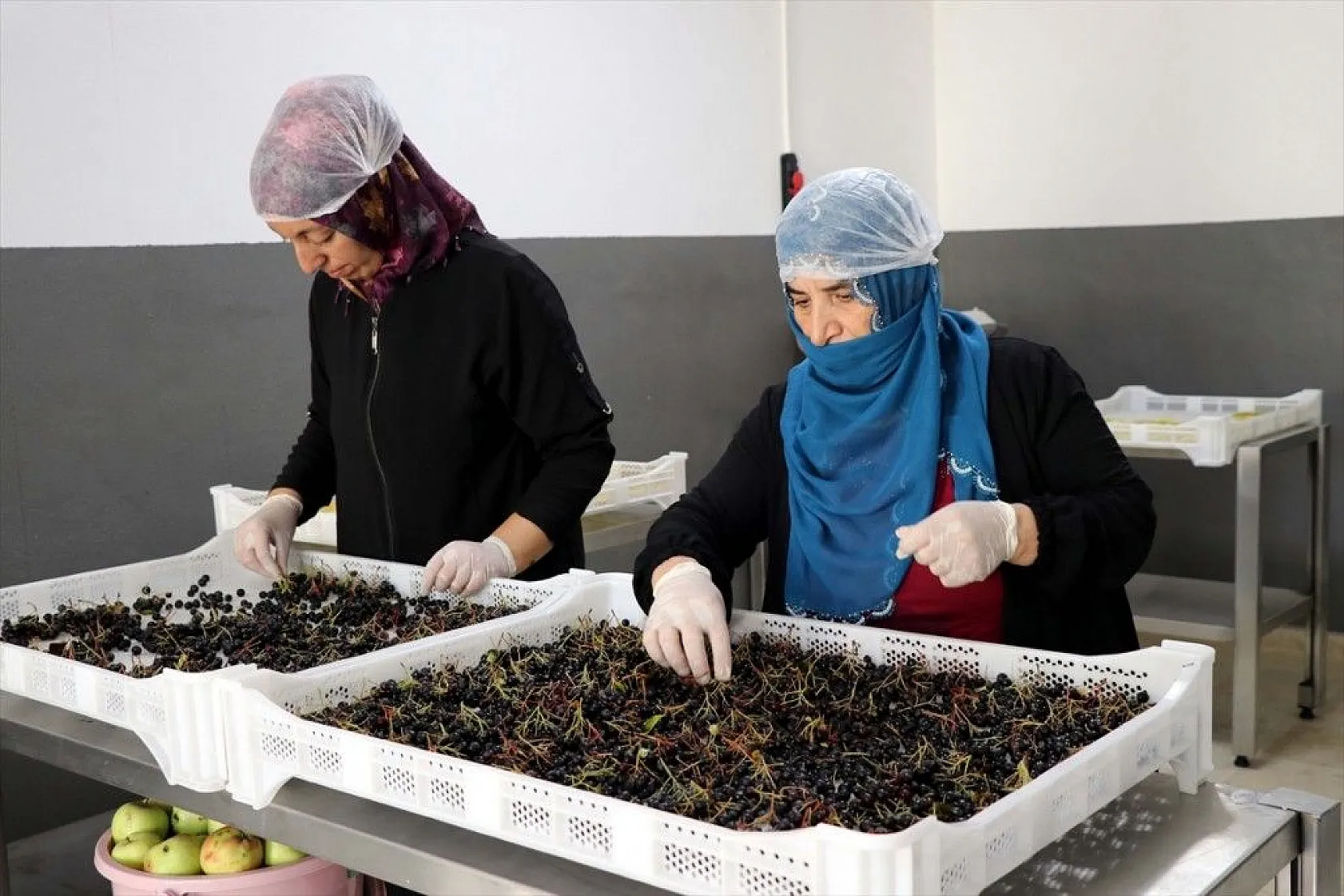 Girişimci kız kardeşler, birikimlerine devlet desteğini de katarak tesis kurdu