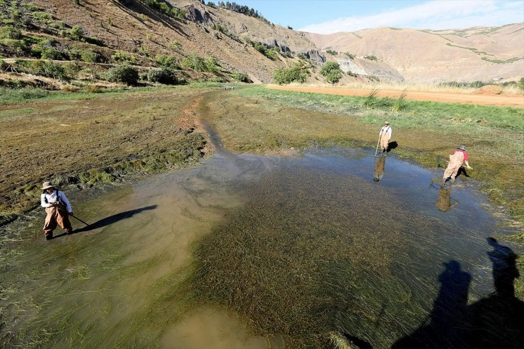 Elazığ'dan Doğu ve Güneydoğu Anadolu'ya sazan yavrusu takviyesi