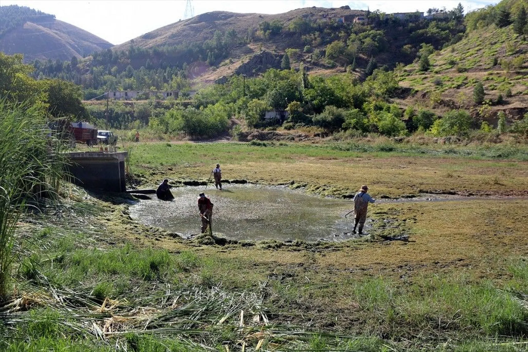 Elazığ'dan Doğu ve Güneydoğu Anadolu'ya sazan yavrusu takviyesi
