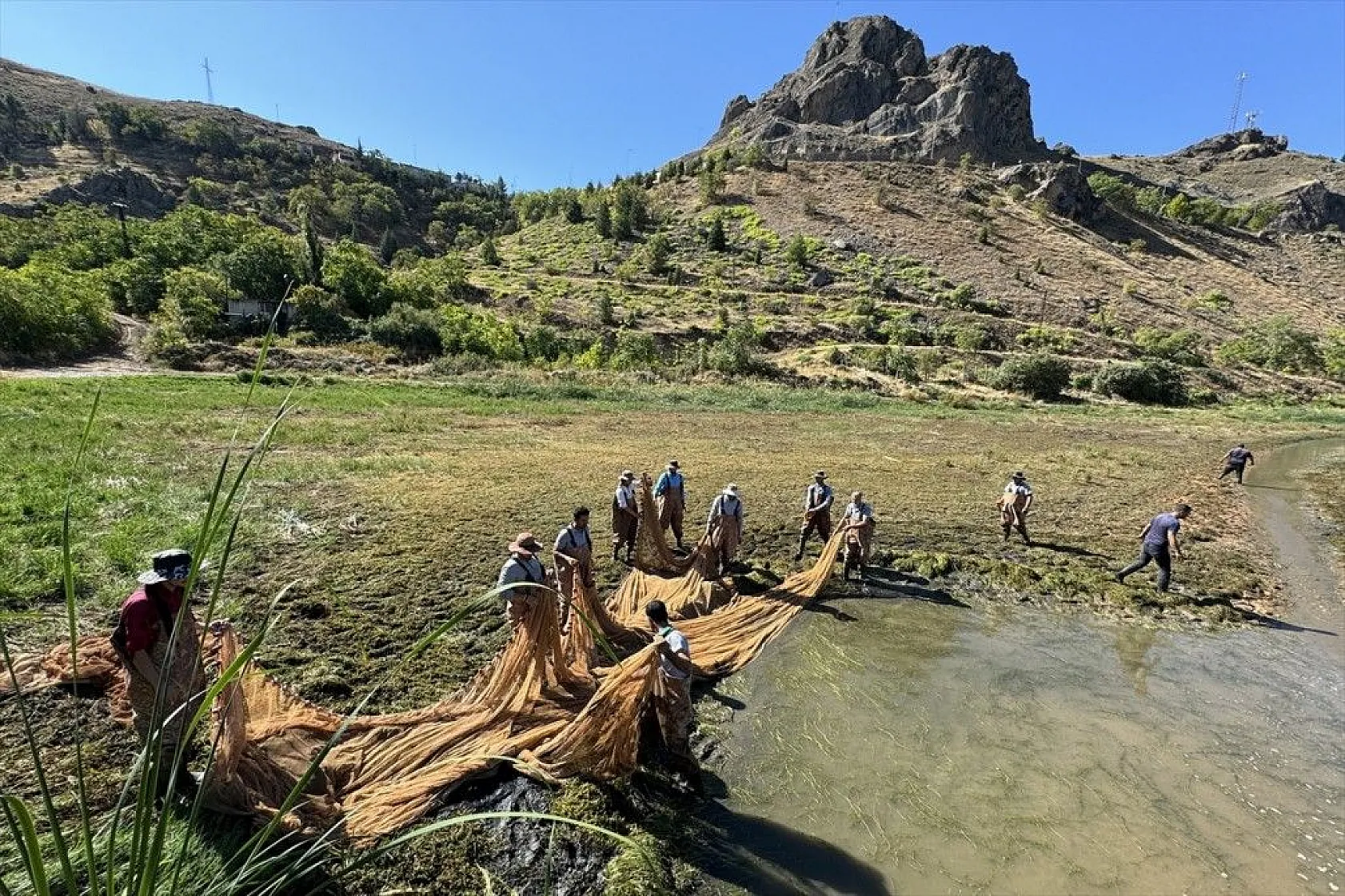Elazığ'dan Doğu ve Güneydoğu Anadolu'ya sazan yavrusu takviyesi