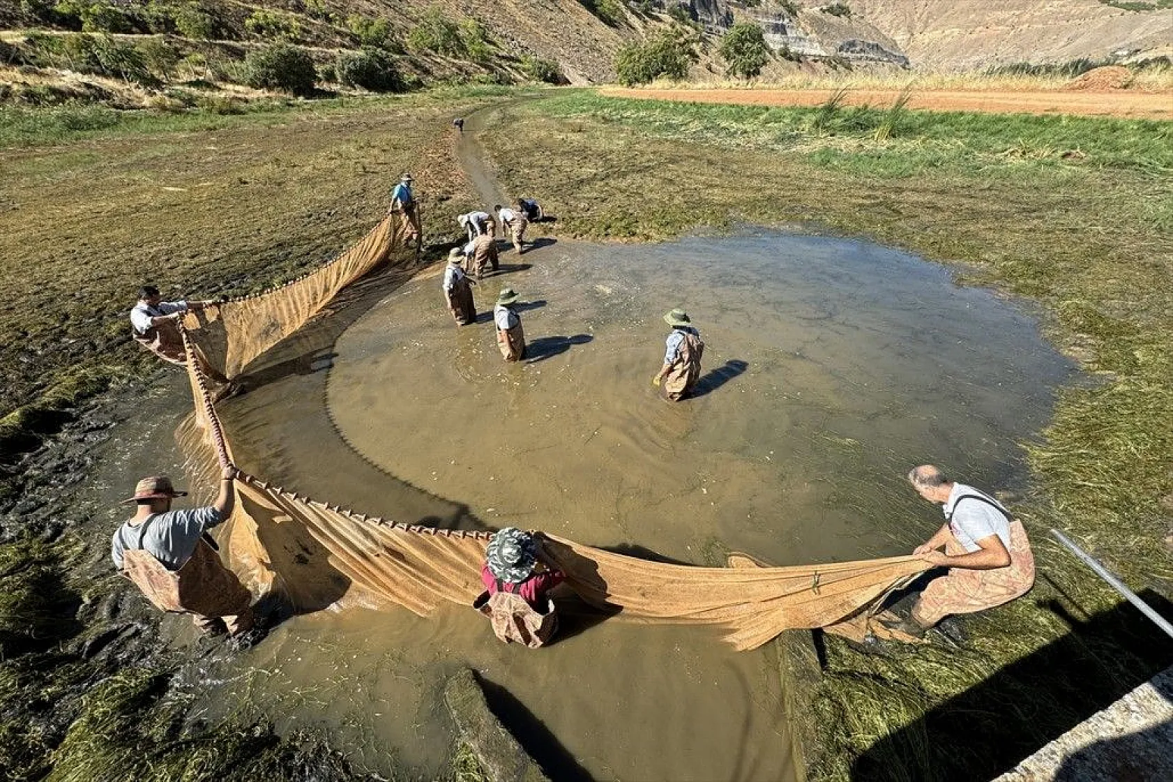 Elazığ'dan Doğu ve Güneydoğu Anadolu'ya sazan yavrusu takviyesi