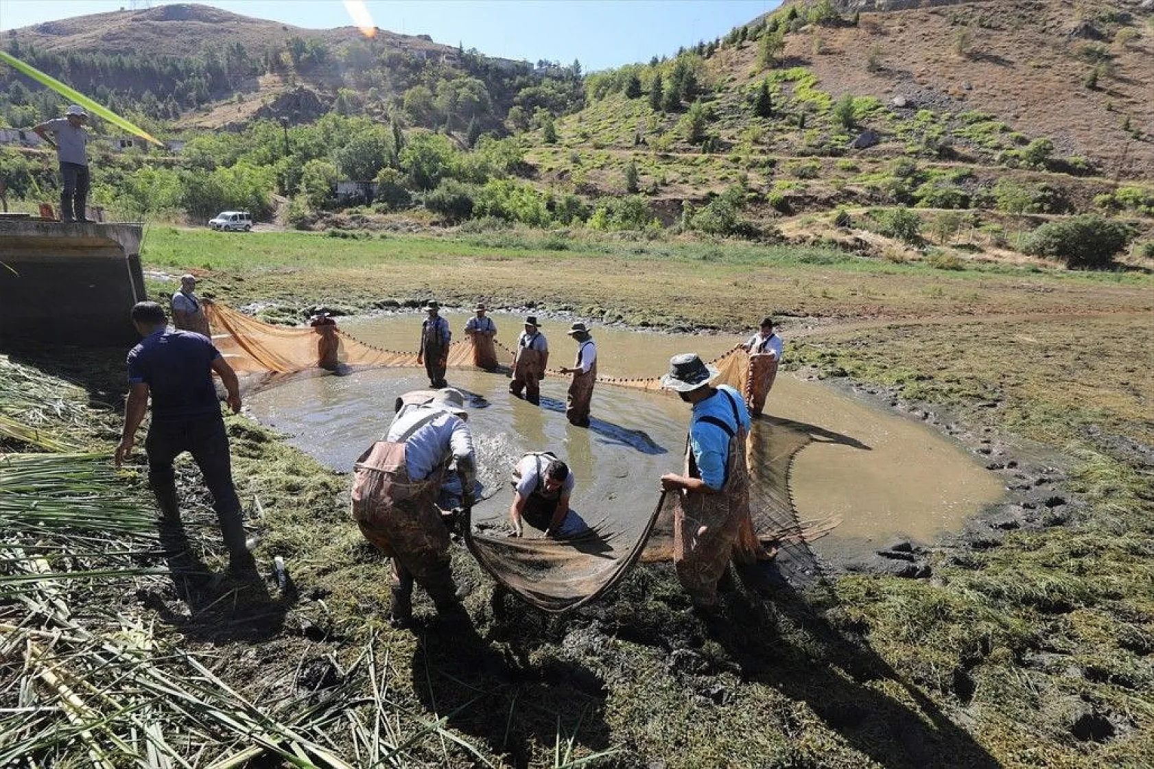 Elazığ'dan Doğu ve Güneydoğu Anadolu'ya sazan yavrusu takviyesi