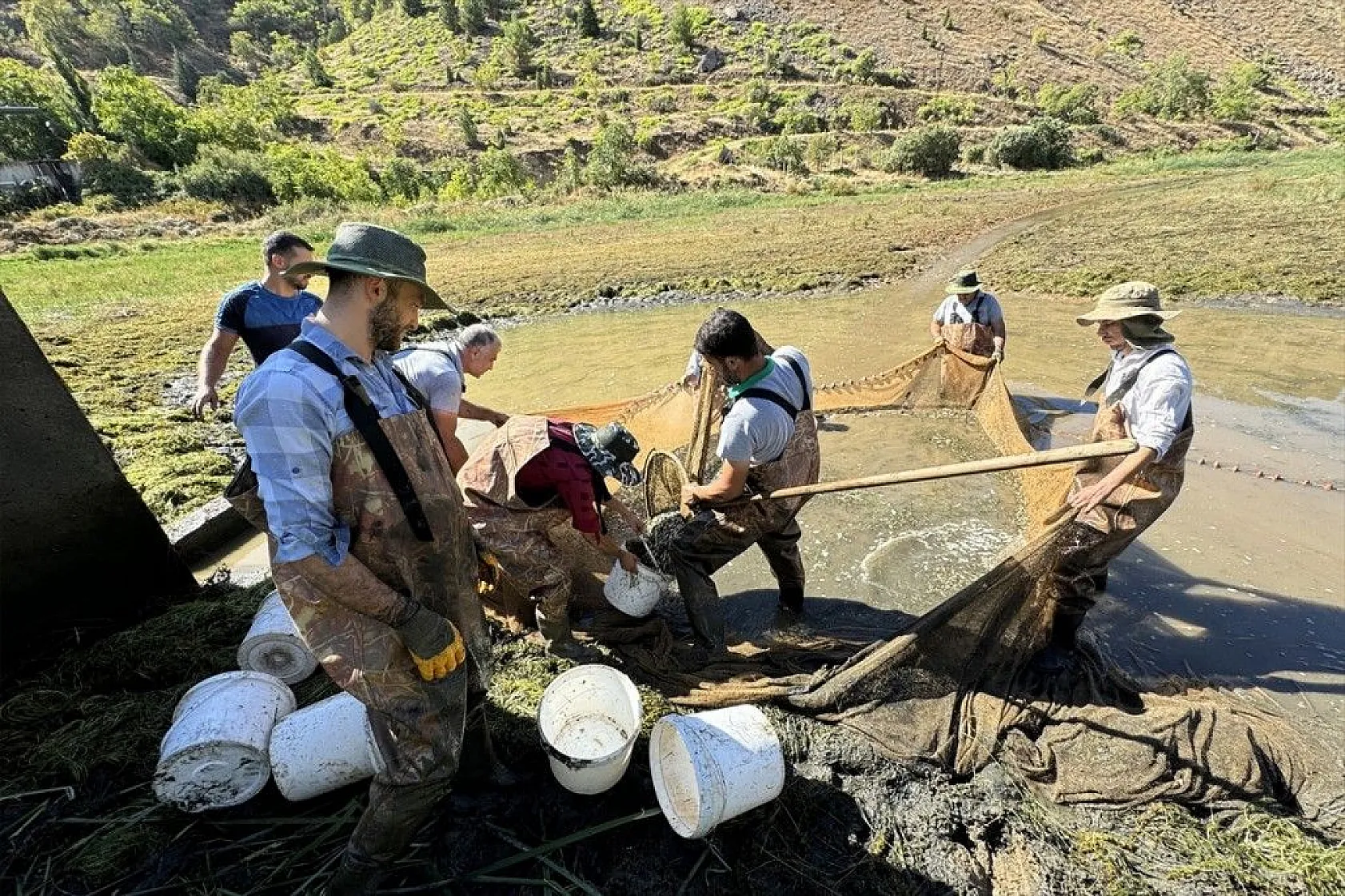 Elazığ'dan Doğu ve Güneydoğu Anadolu'ya sazan yavrusu takviyesi