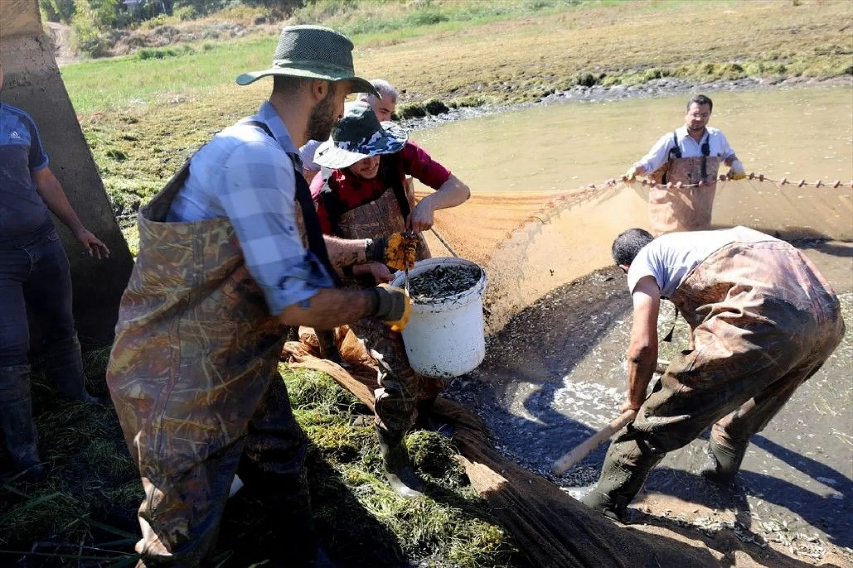 Elazığ'dan Doğu ve Güneydoğu Anadolu'ya sazan yavrusu takviyesi