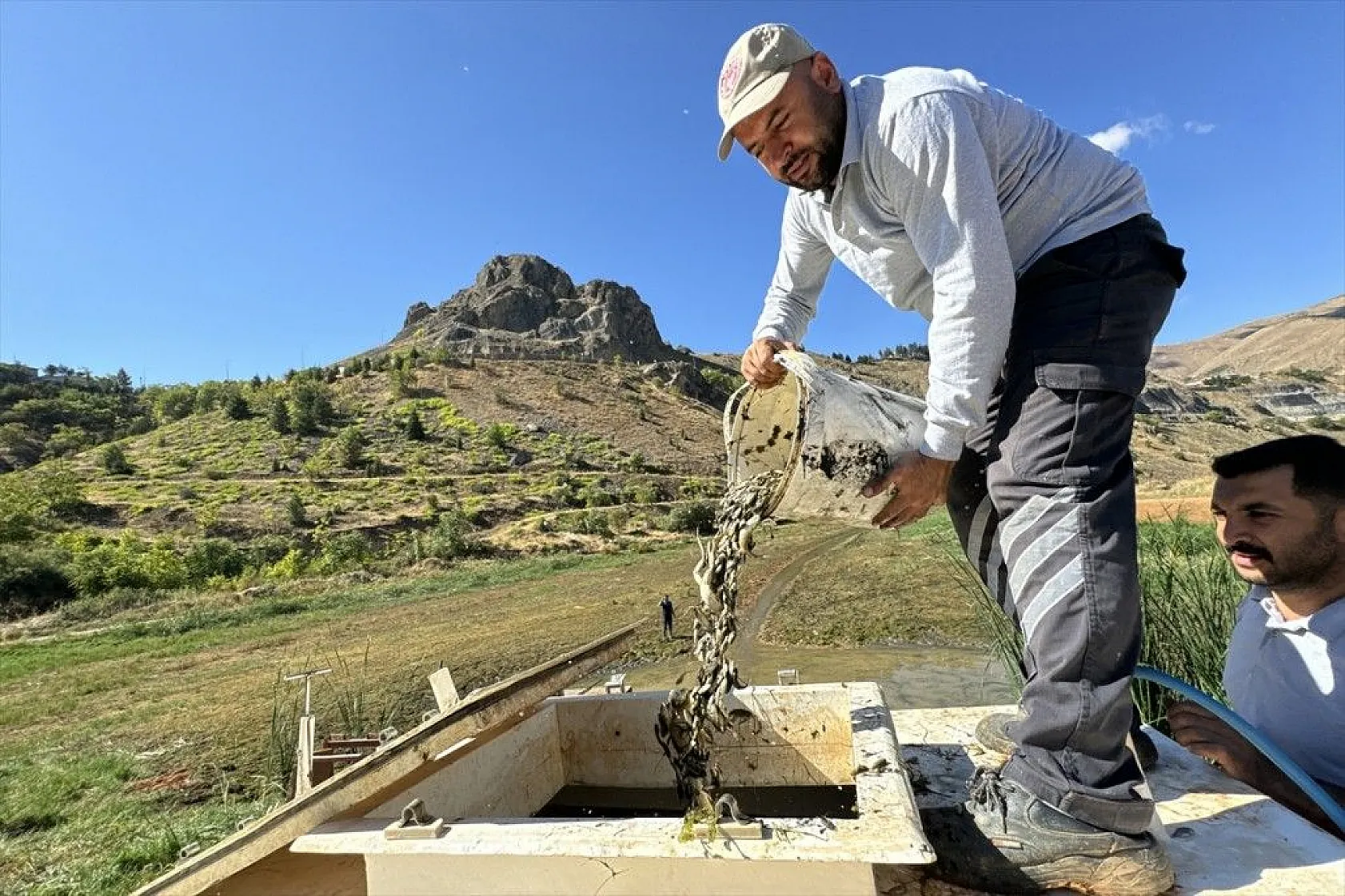 Elazığ'dan Doğu ve Güneydoğu Anadolu'ya sazan yavrusu takviyesi