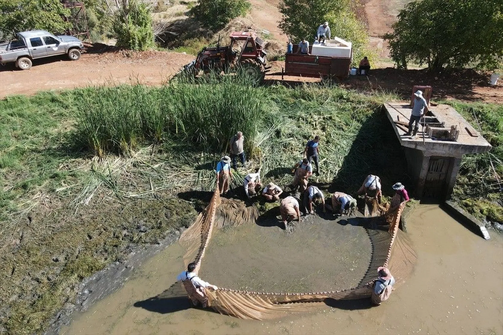 Elazığ'dan Doğu ve Güneydoğu Anadolu'ya sazan yavrusu takviyesi