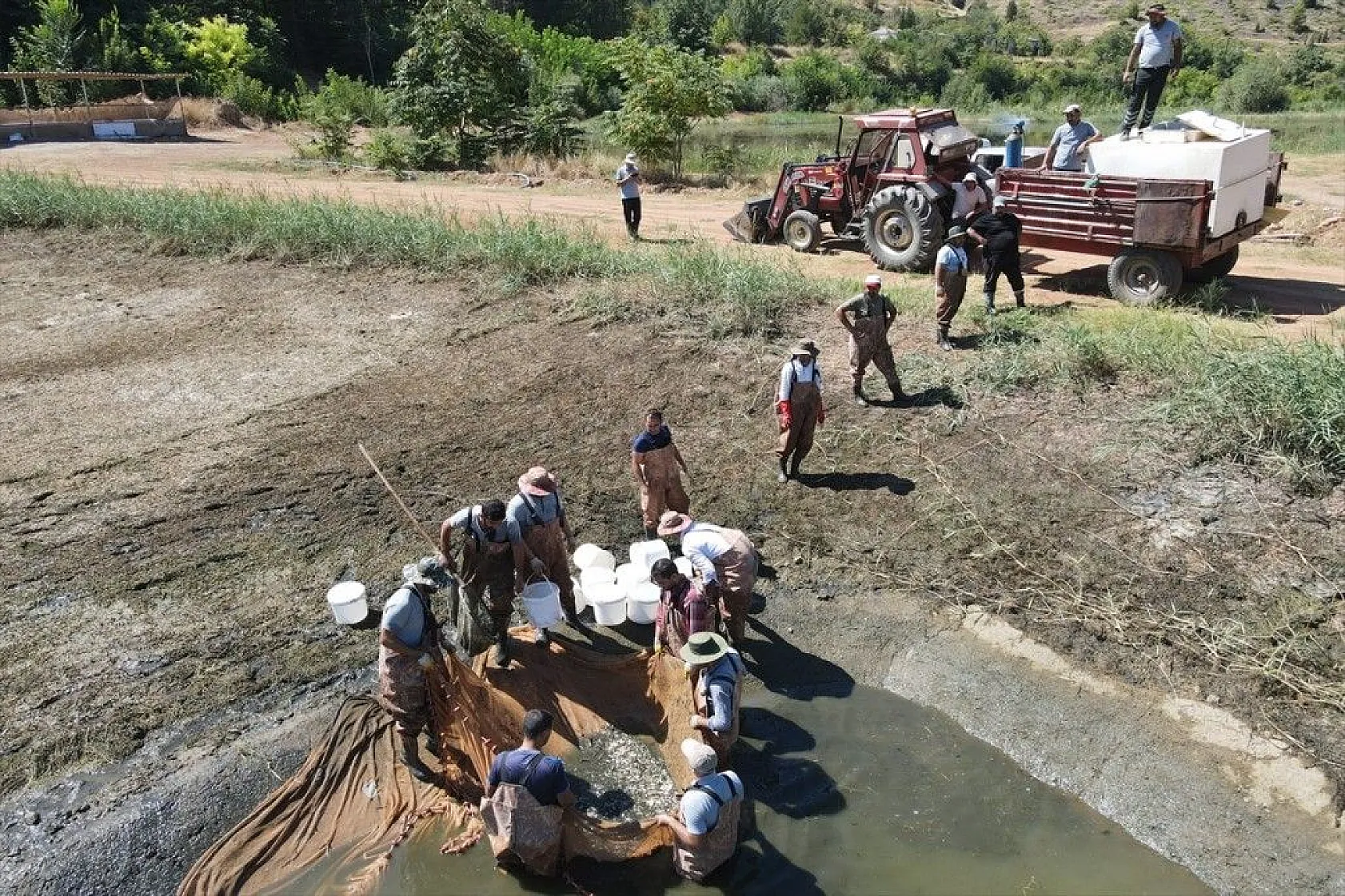 Elazığ'dan Doğu ve Güneydoğu Anadolu'ya sazan yavrusu takviyesi