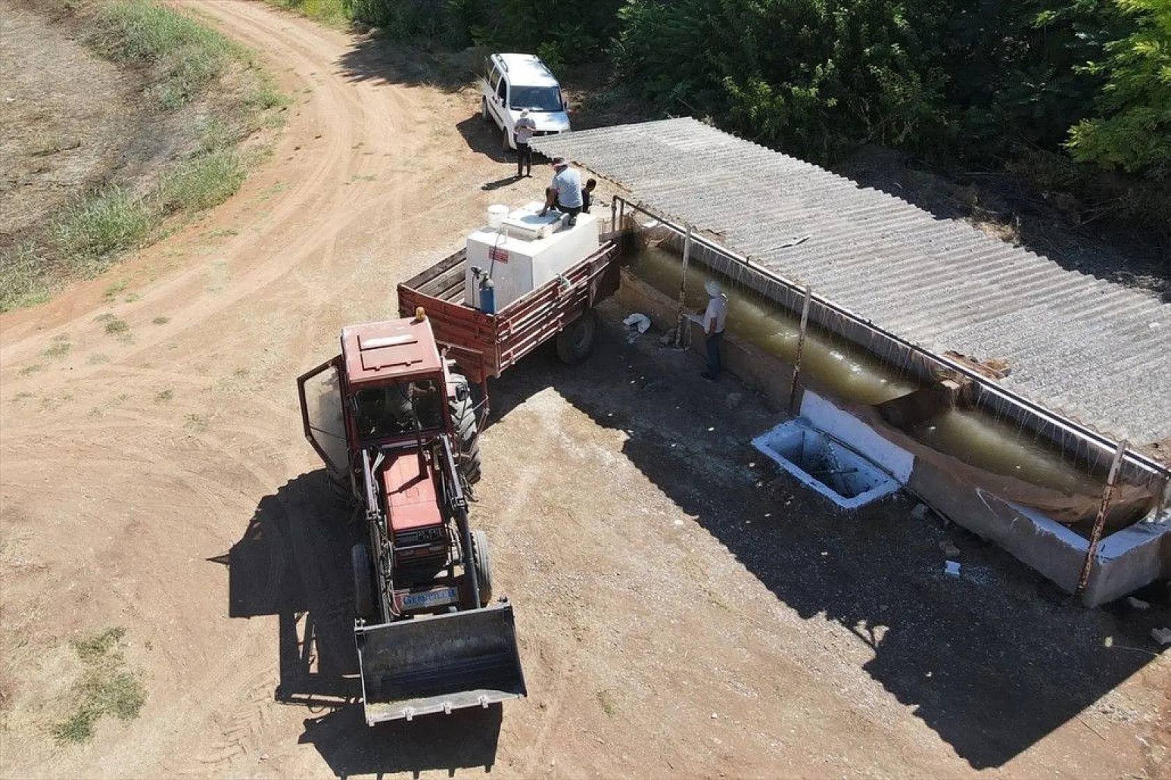 Elazığ'dan Doğu ve Güneydoğu Anadolu'ya sazan yavrusu takviyesi
