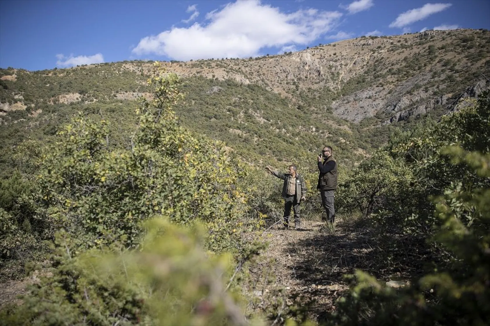 Kaçak avcıların kulübeleri bir bir yıkılıyor