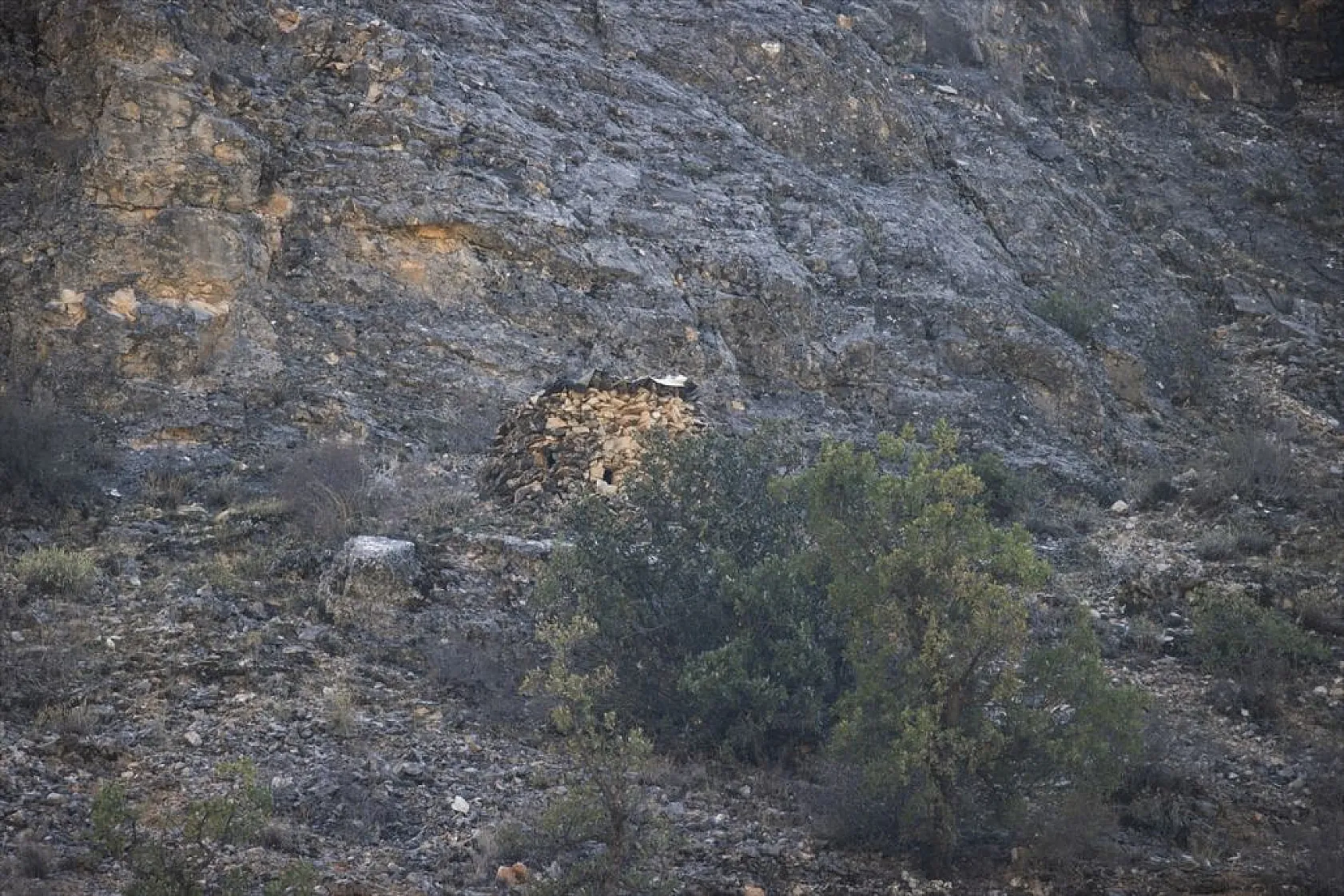 Kaçak avcıların kulübeleri bir bir yıkılıyor
