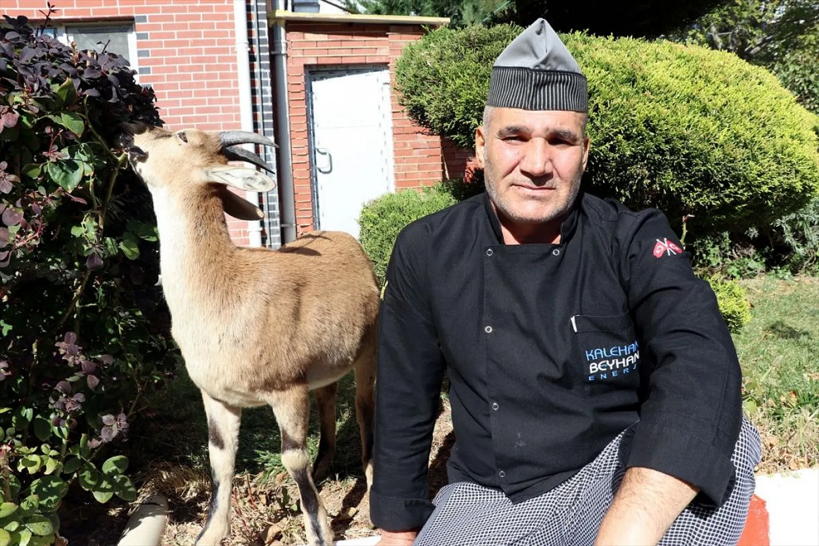 Baraj sahasını mesken tutan yavru dağ keçisini biberonla besliyorlar