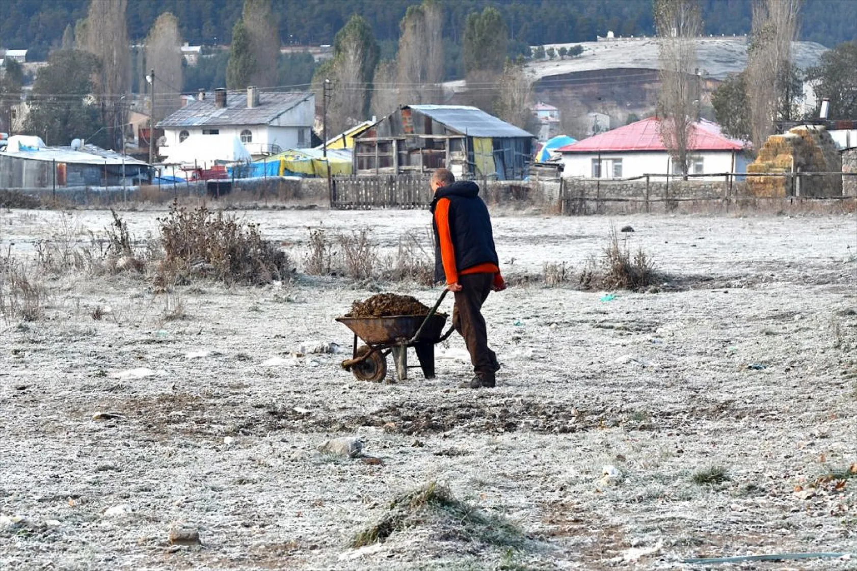 Doğu Anadolu buz kesti