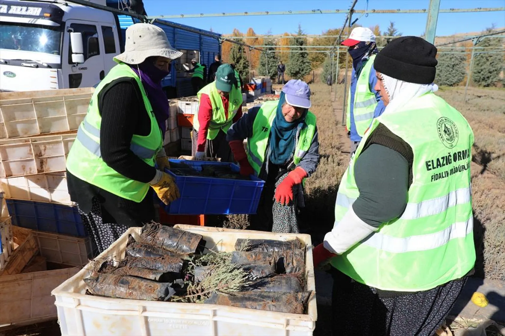 Doğu Anadolu'nun 'bozkır toprakları' dikilen milyonlarca fidanla yeşerecek