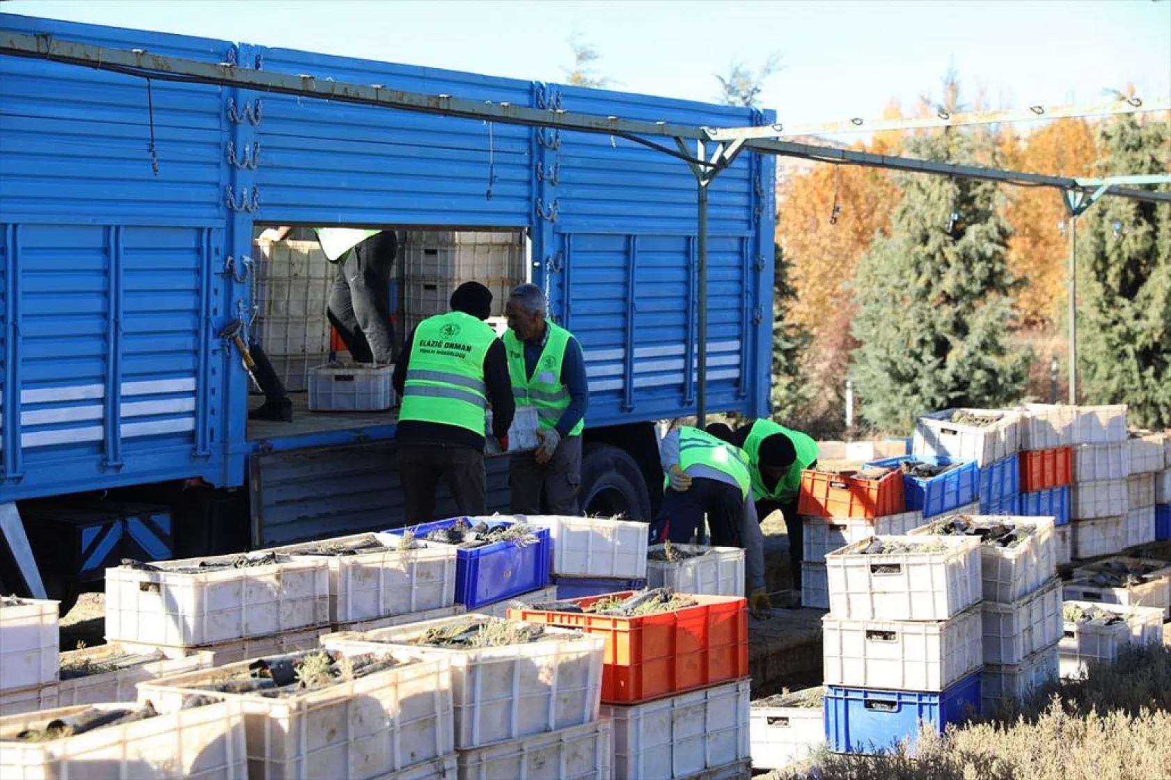 Doğu Anadolu'nun 'bozkır toprakları' dikilen milyonlarca fidanla yeşerecek