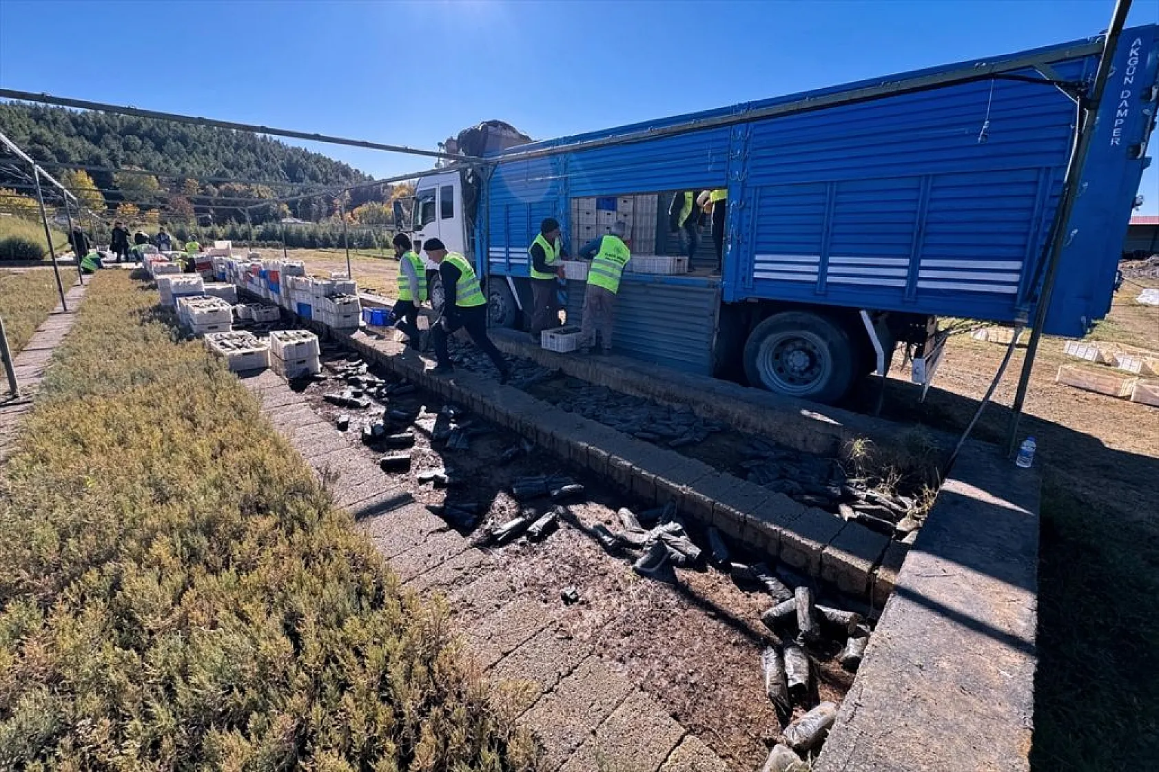 Doğu Anadolu'nun 'bozkır toprakları' dikilen milyonlarca fidanla yeşerecek