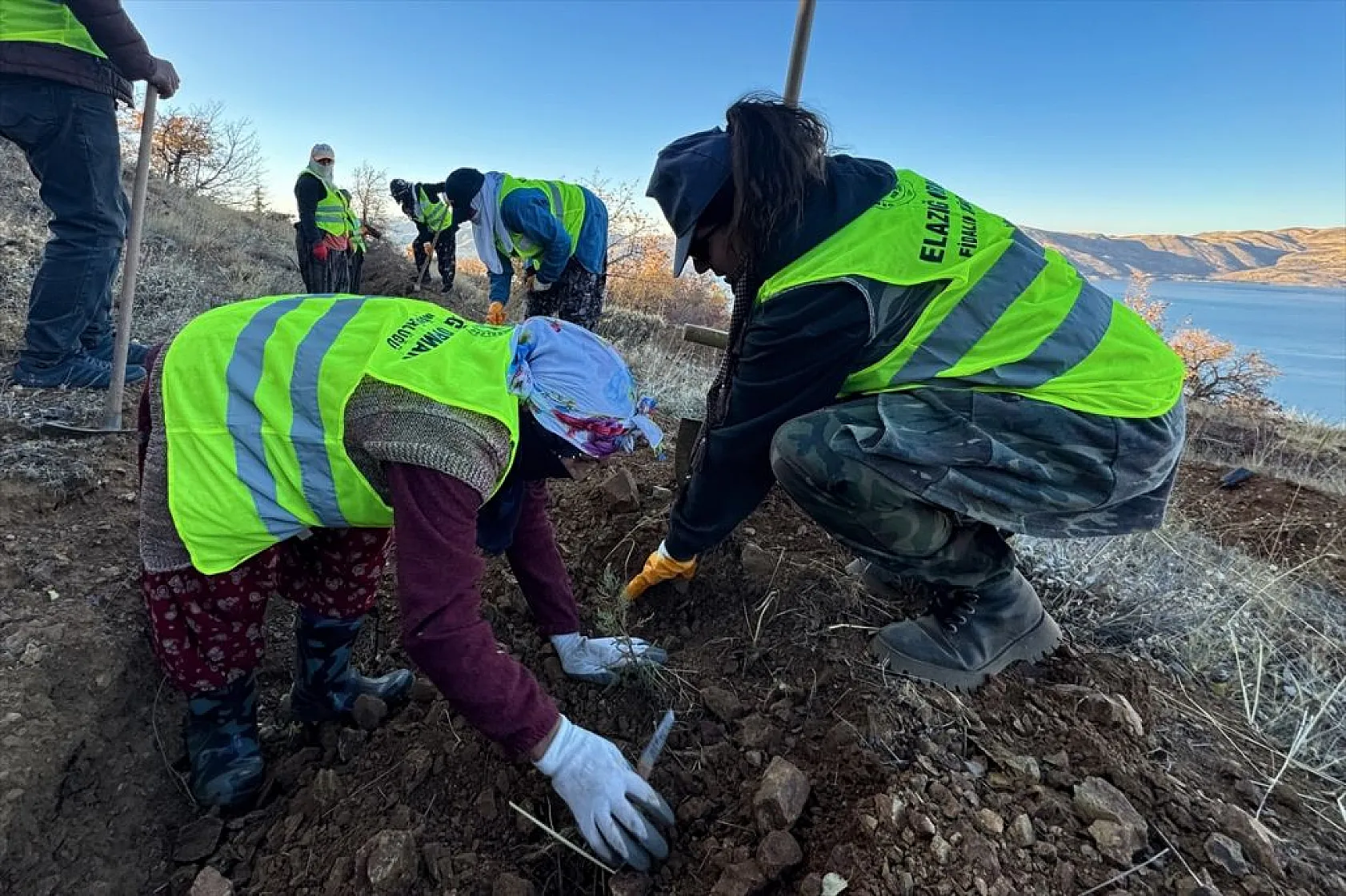 Doğu Anadolu'nun 'bozkır toprakları' dikilen milyonlarca fidanla yeşerecek