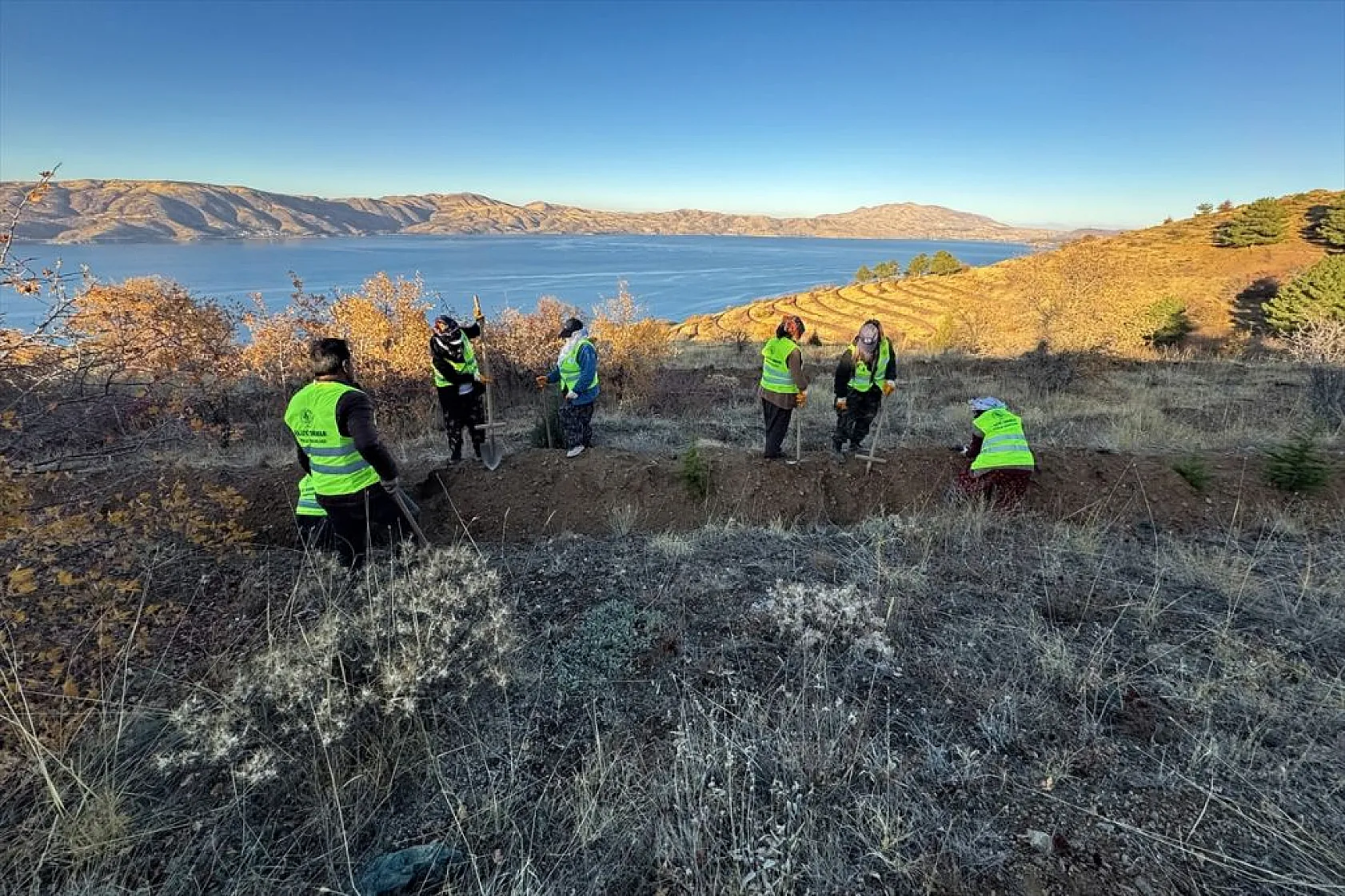 Doğu Anadolu'nun 'bozkır toprakları' dikilen milyonlarca fidanla yeşerecek