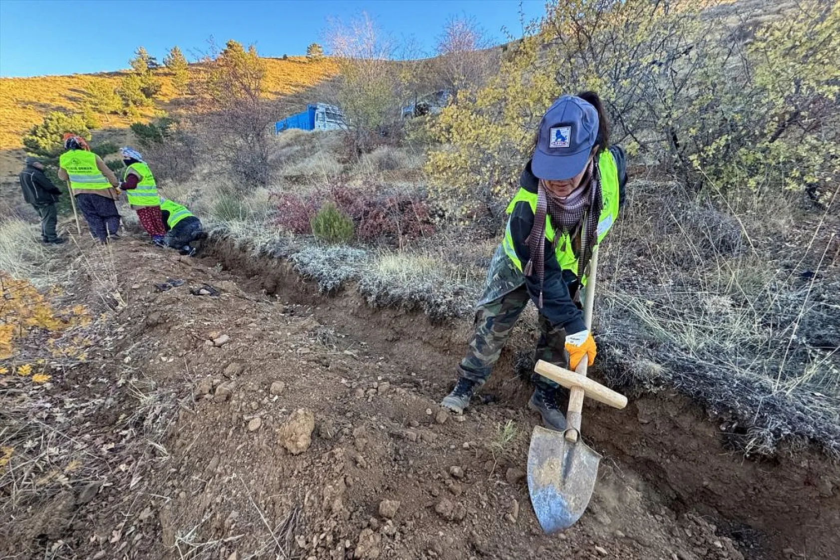 Doğu Anadolu'nun 'bozkır toprakları' dikilen milyonlarca fidanla yeşerecek