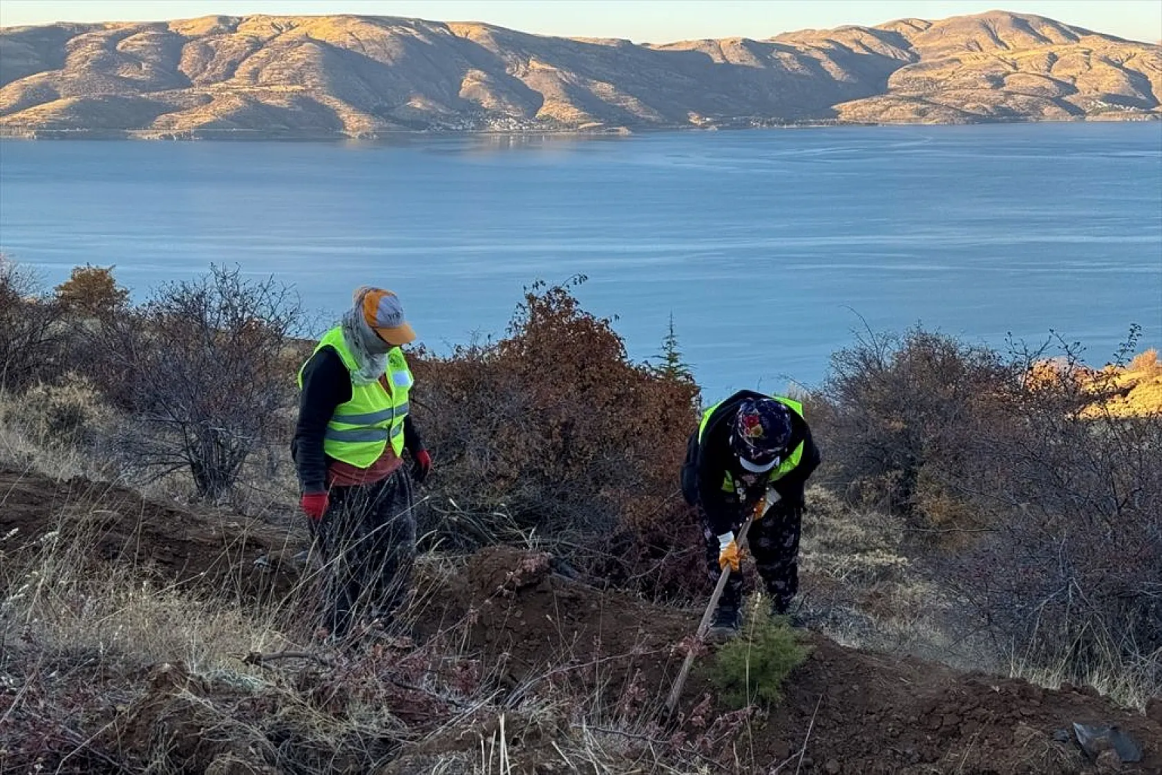 Doğu Anadolu'nun 'bozkır toprakları' dikilen milyonlarca fidanla yeşerecek