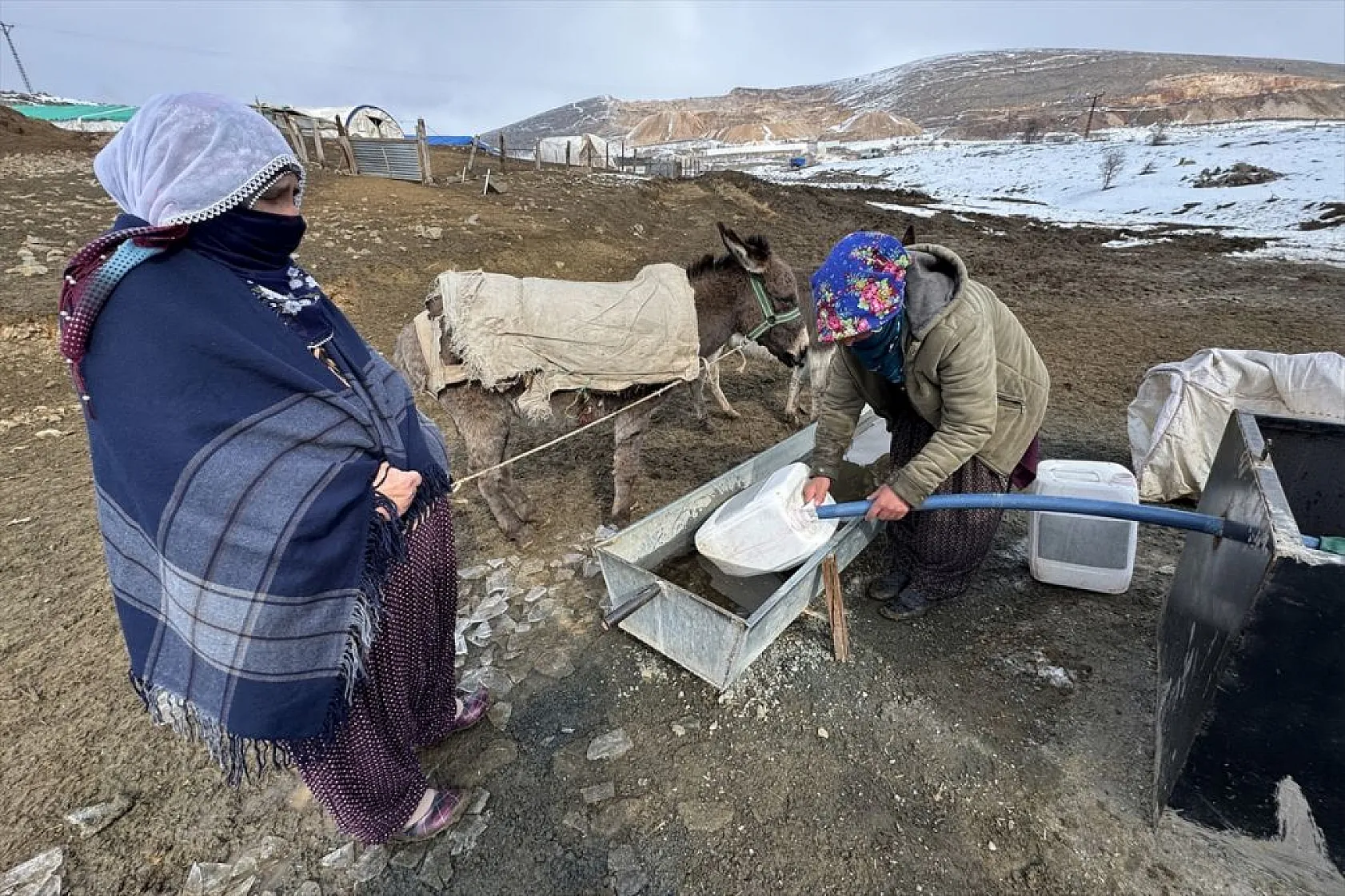 Karla kaplı meralar kuzu doğumlarıyla şenlendi