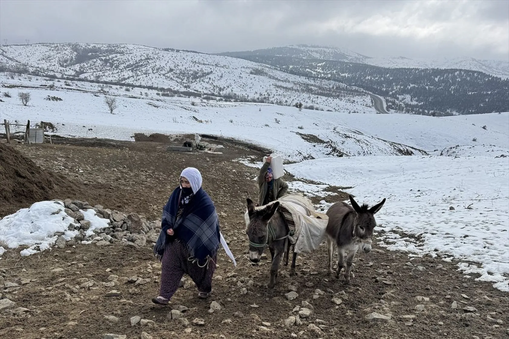 Karla kaplı meralar kuzu doğumlarıyla şenlendi
