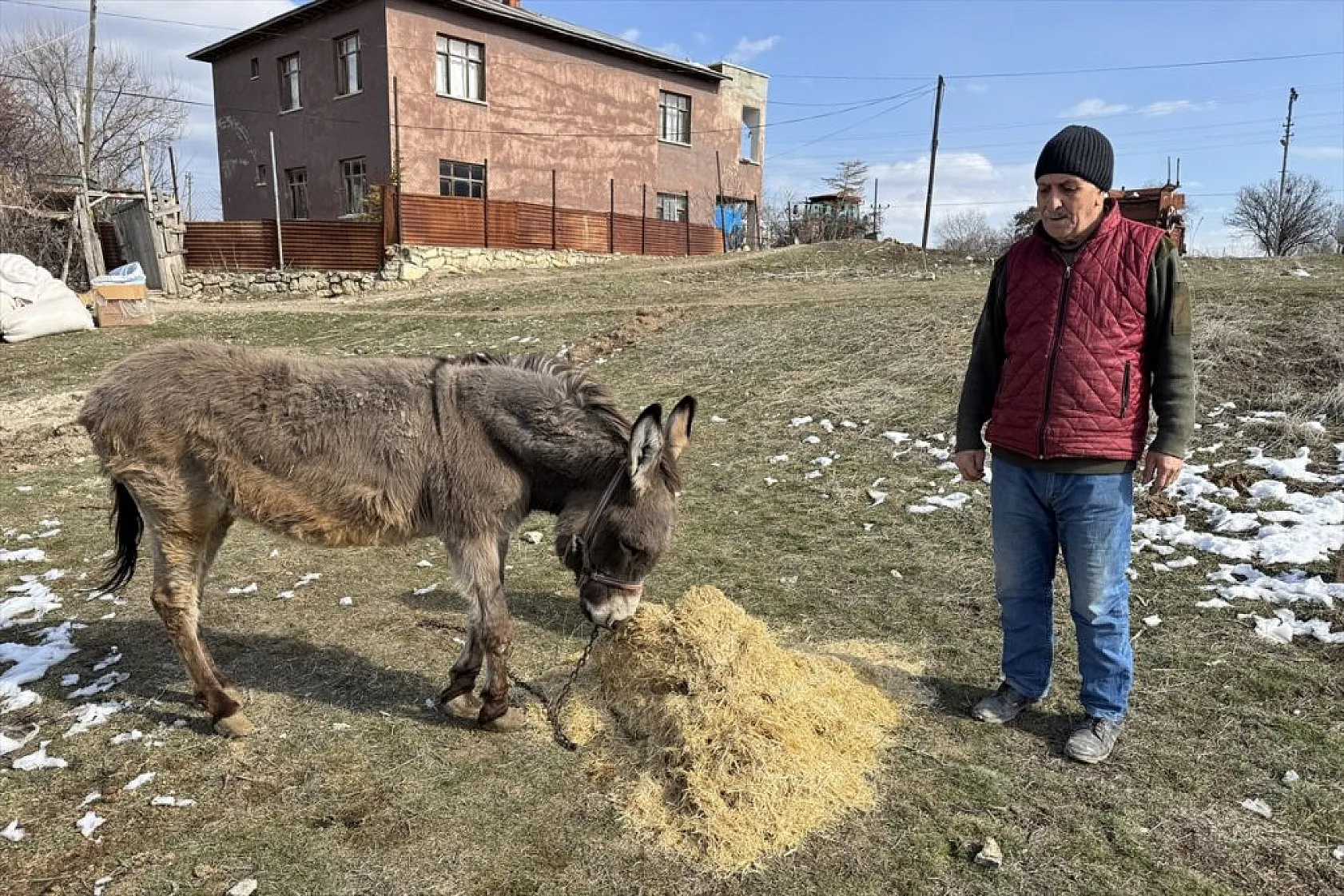 Terk edilen eşeğe 21 yıldır bakan hayvansevere destek