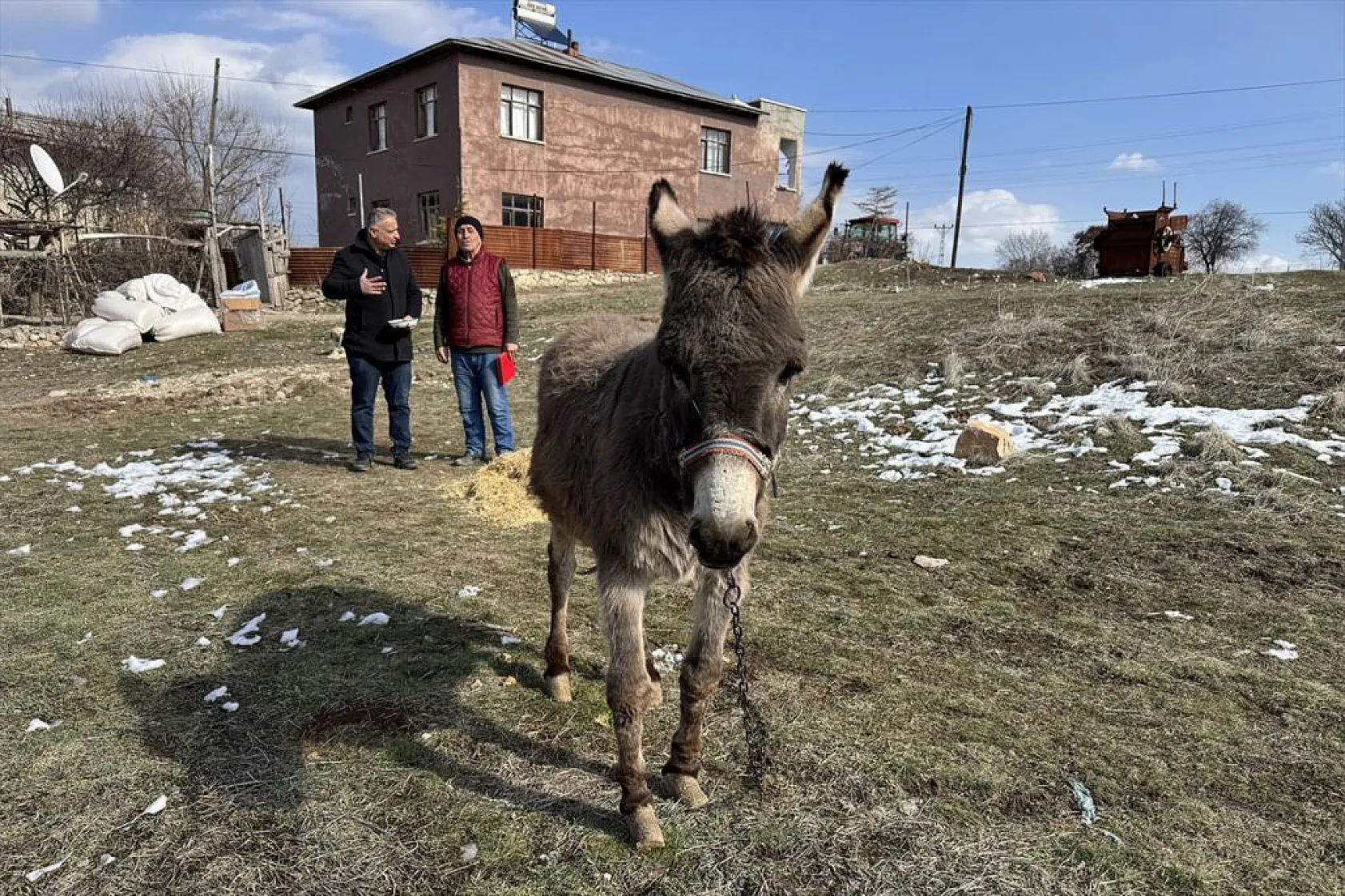 Terk edilen eşeğe 21 yıldır bakan hayvansevere destek