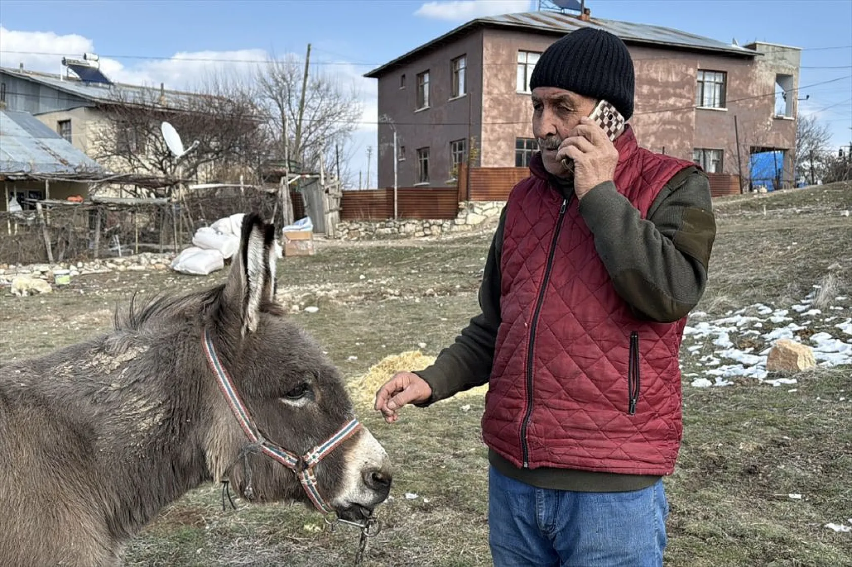 Terk edilen eşeğe 21 yıldır bakan hayvansevere destek