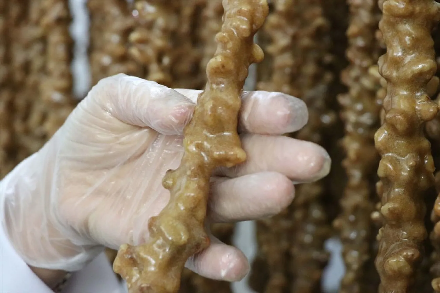 Gelin geldi, eşinin işini büyüttü