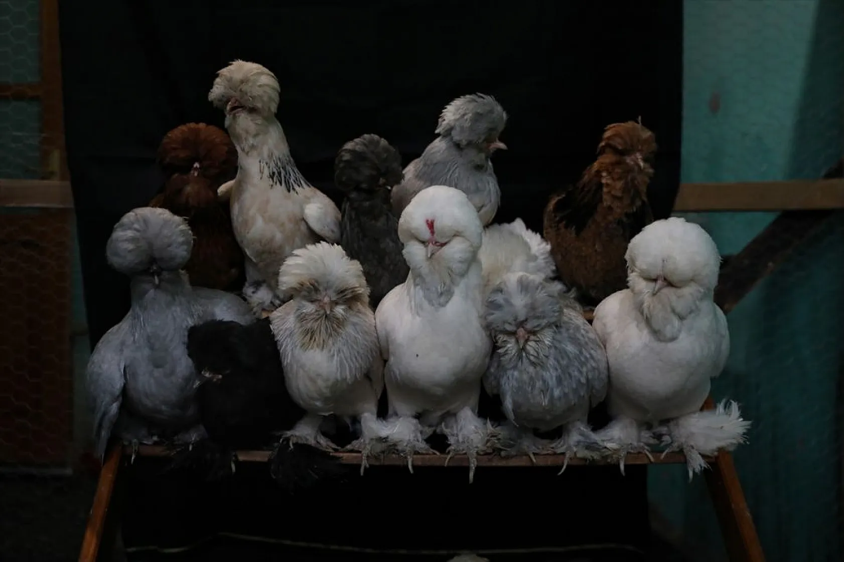 Müstakil evi AR-GE merkezine çevirdiler