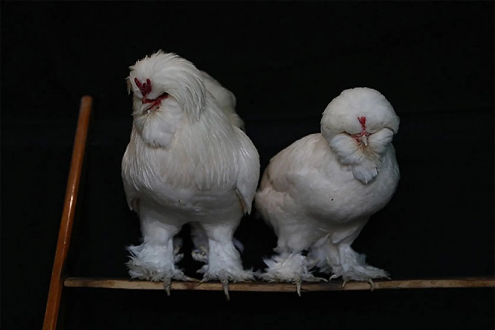 Müstakil evi AR-GE merkezine çevirdiler