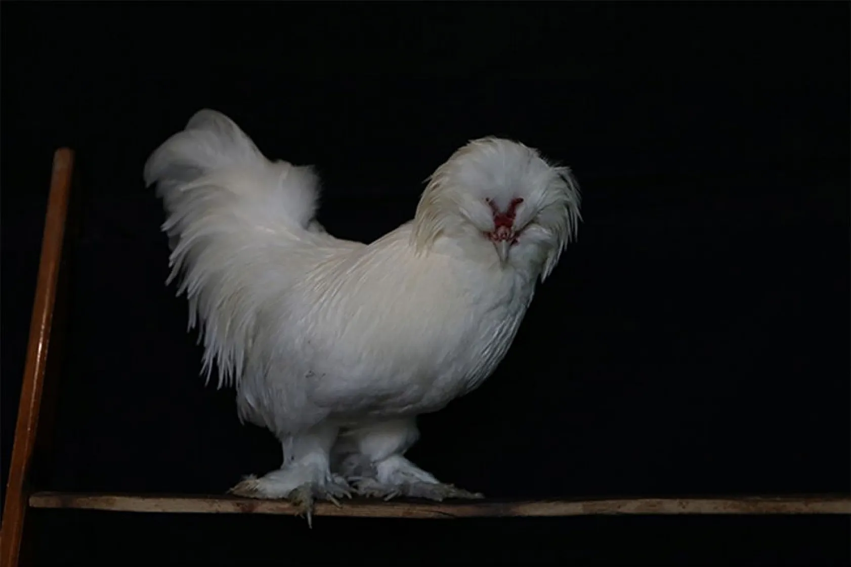 Müstakil evi AR-GE merkezine çevirdiler