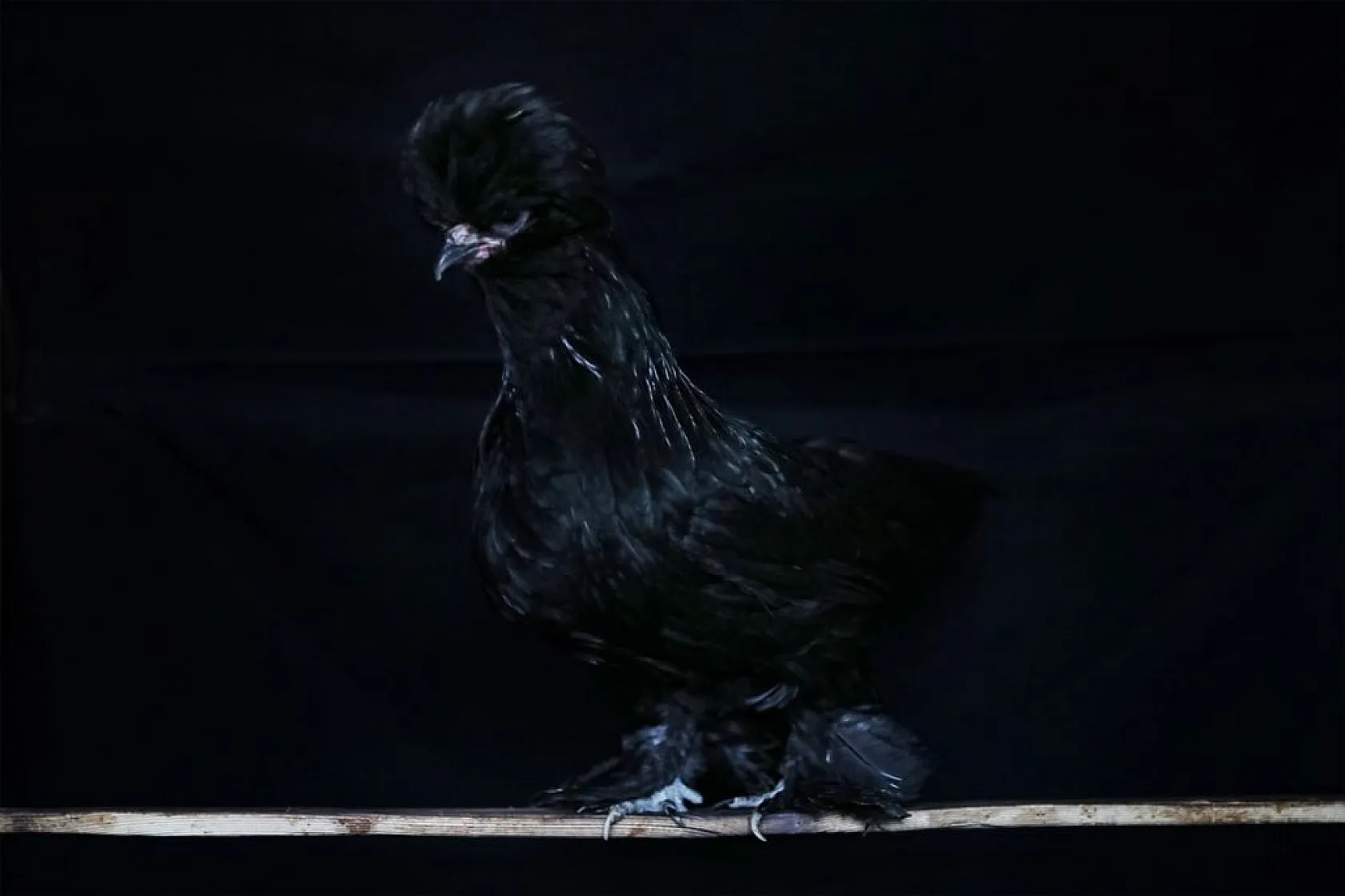 Müstakil evi AR-GE merkezine çevirdiler