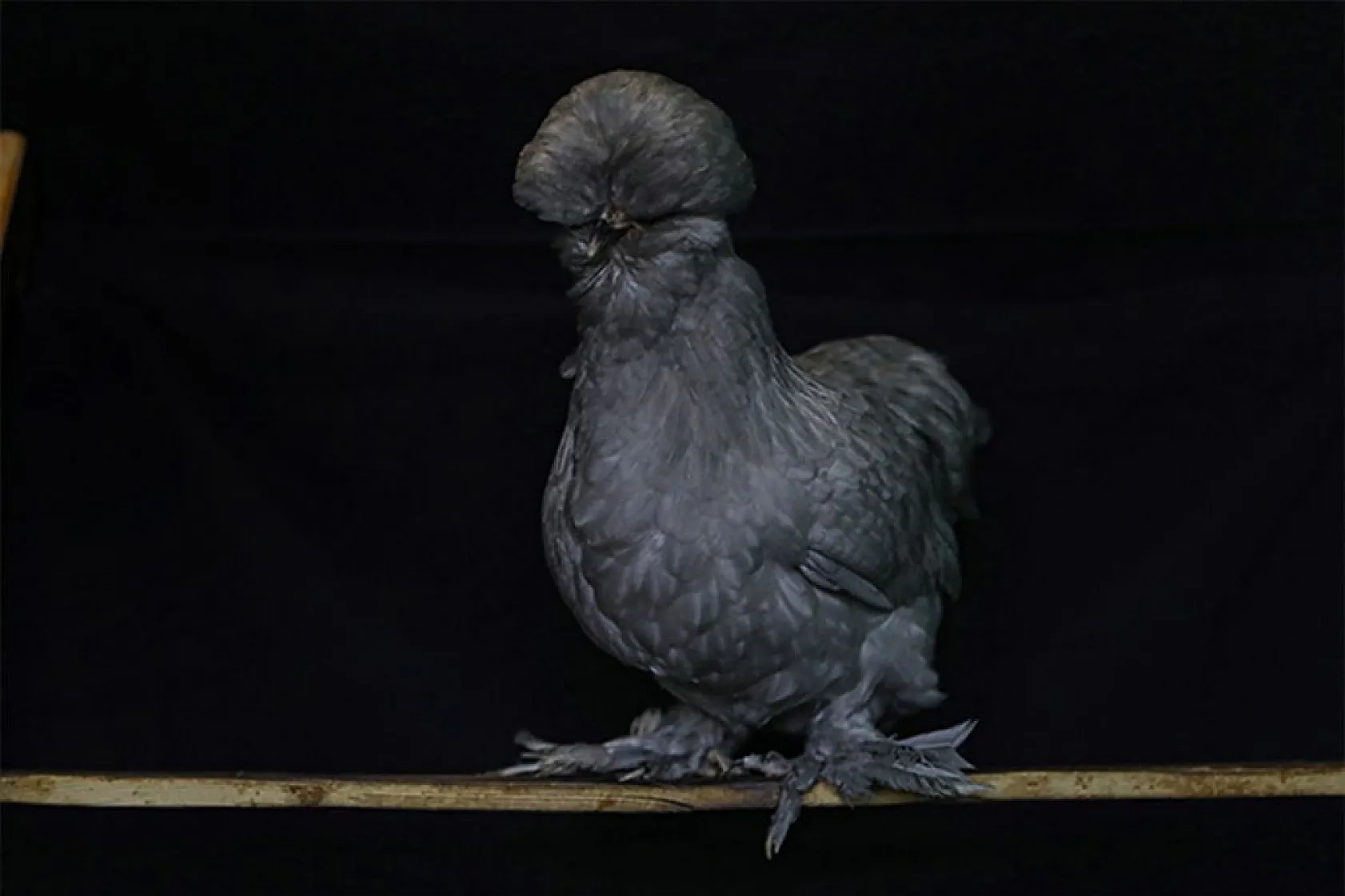 Müstakil evi AR-GE merkezine çevirdiler