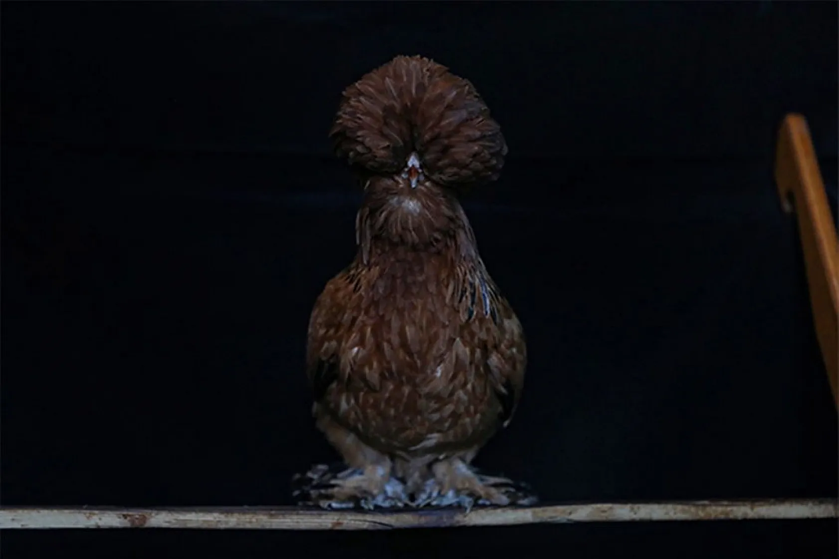 Müstakil evi AR-GE merkezine çevirdiler