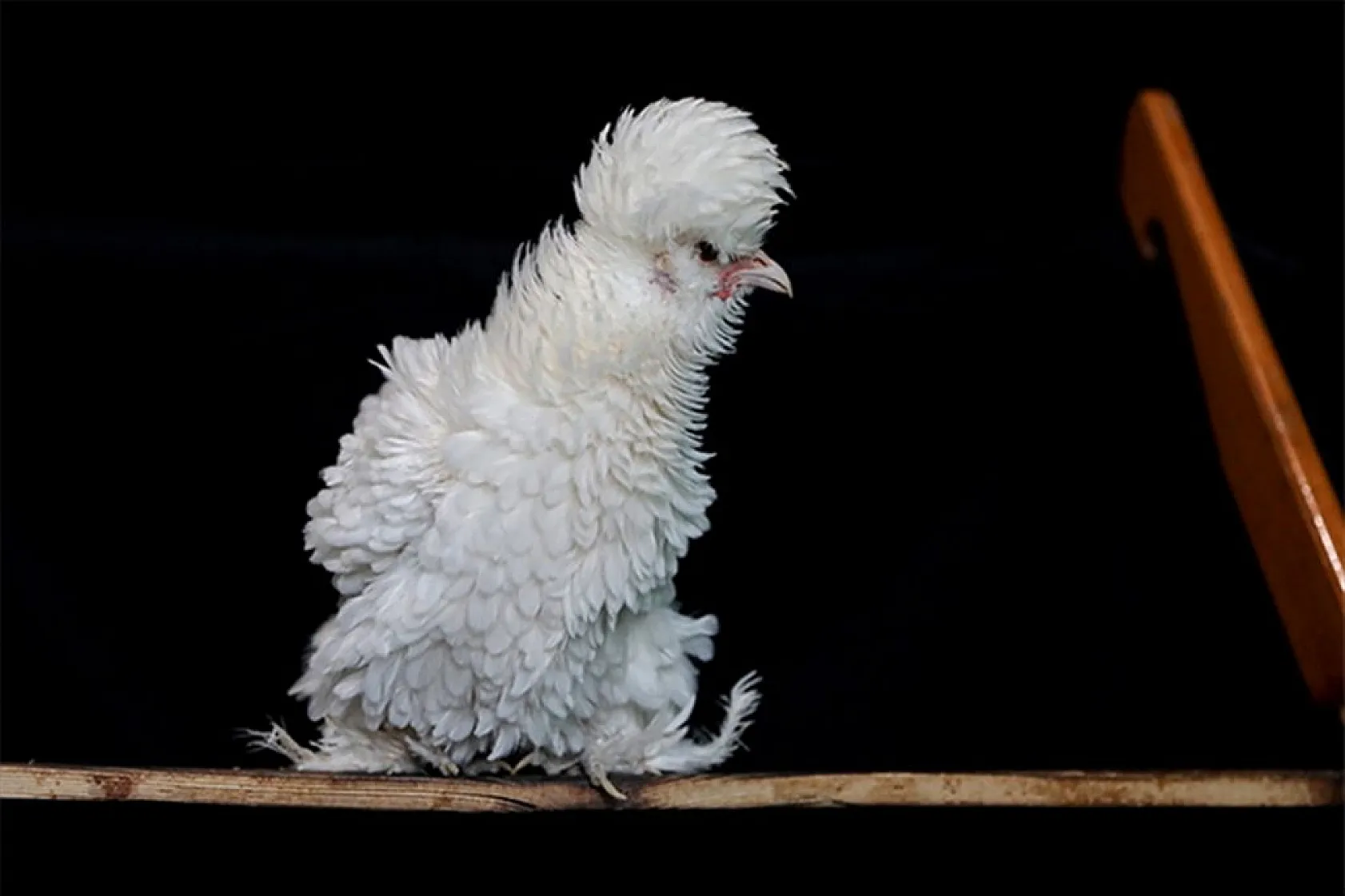 Müstakil evi AR-GE merkezine çevirdiler