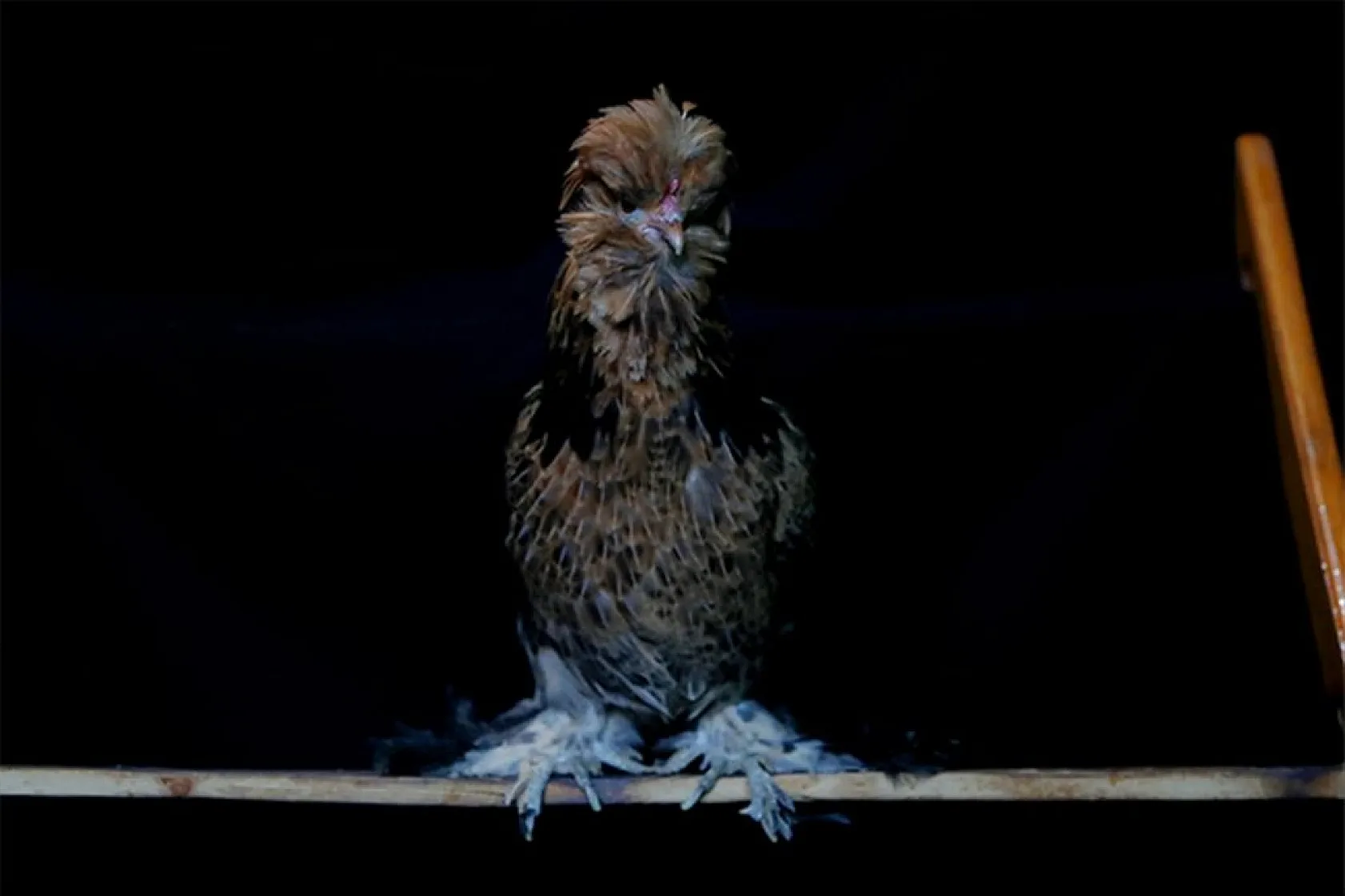 Müstakil evi AR-GE merkezine çevirdiler