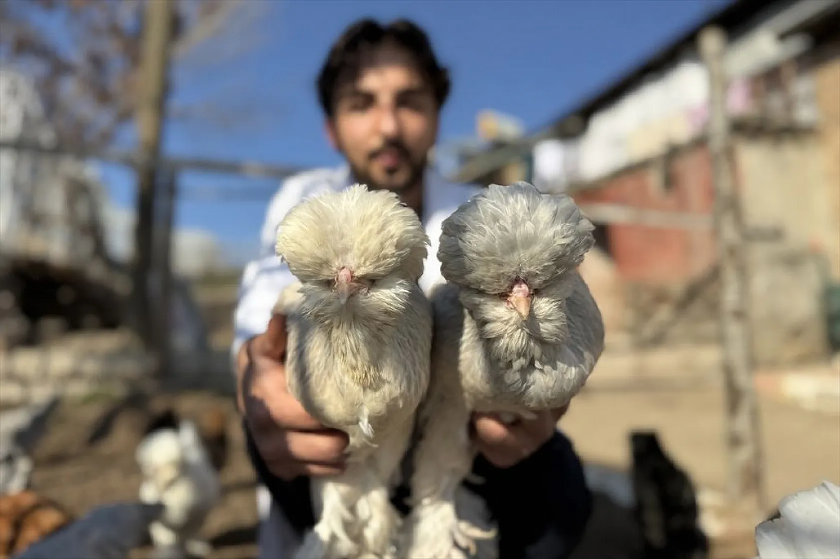 Müstakil evi AR-GE merkezine çevirdiler