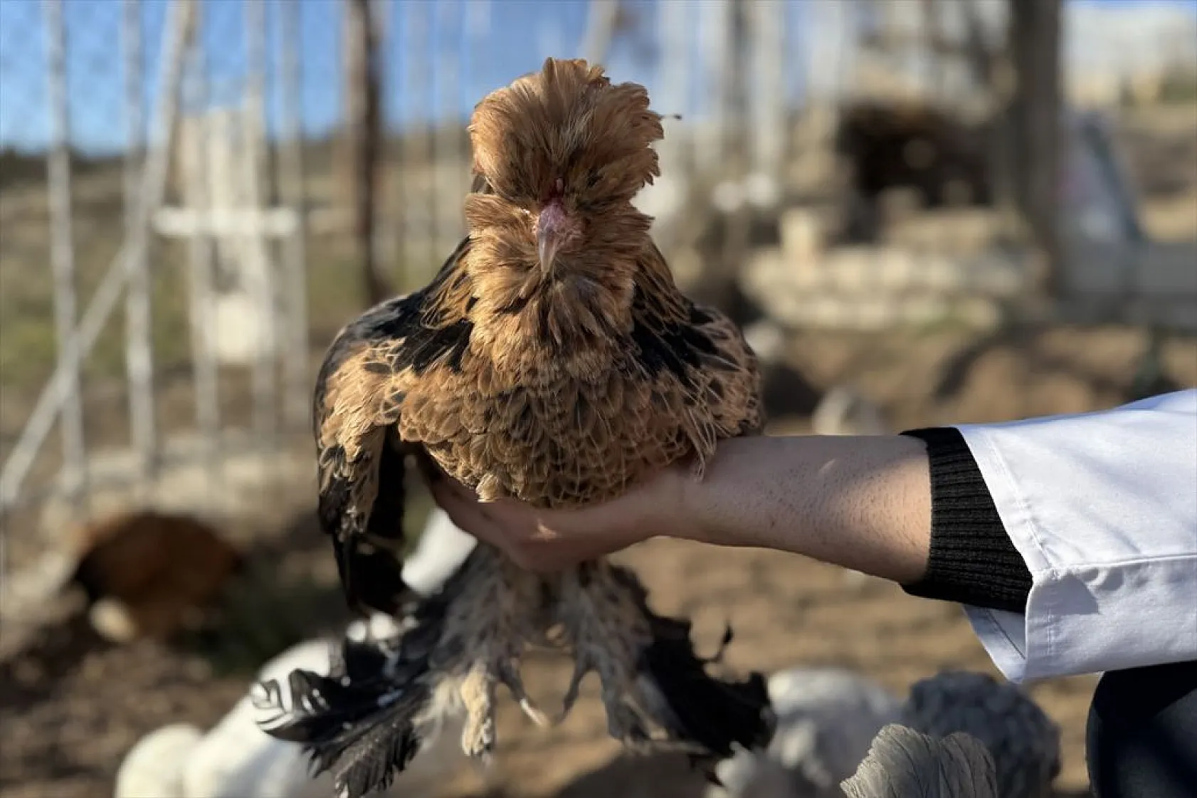 Müstakil evi AR-GE merkezine çevirdiler