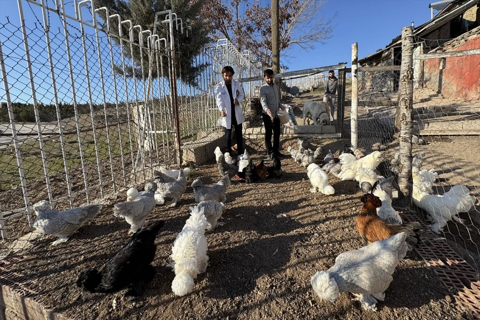 Müstakil evi AR-GE merkezine çevirdiler