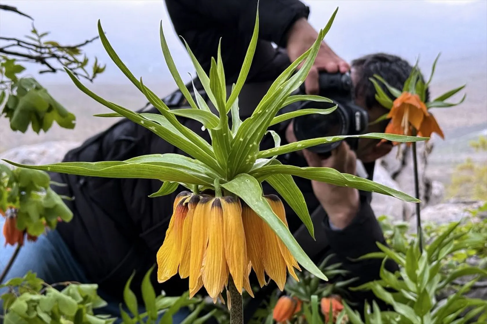 'Ağlayan gelin' için zirveye tırmanış