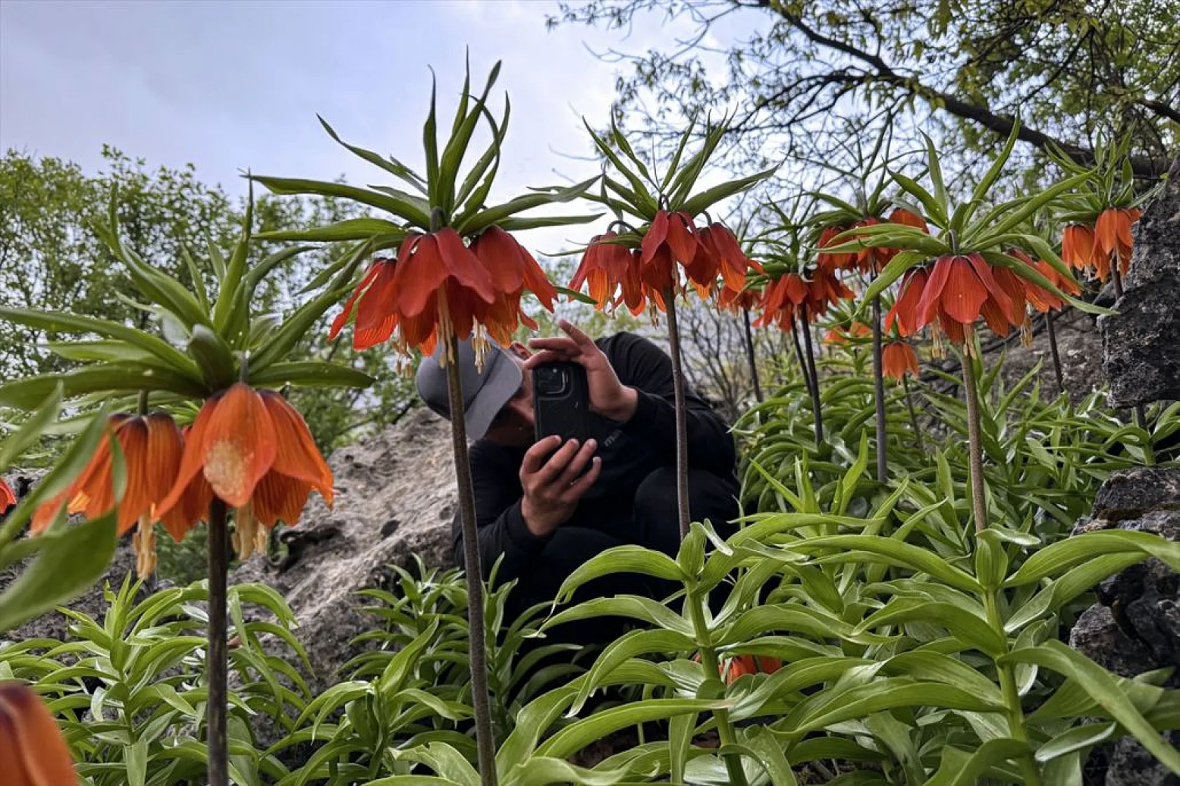 'Ağlayan gelin' için zirveye tırmanış