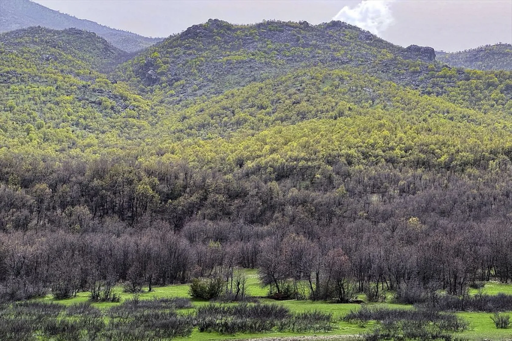 'Ağlayan gelin' için zirveye tırmanış