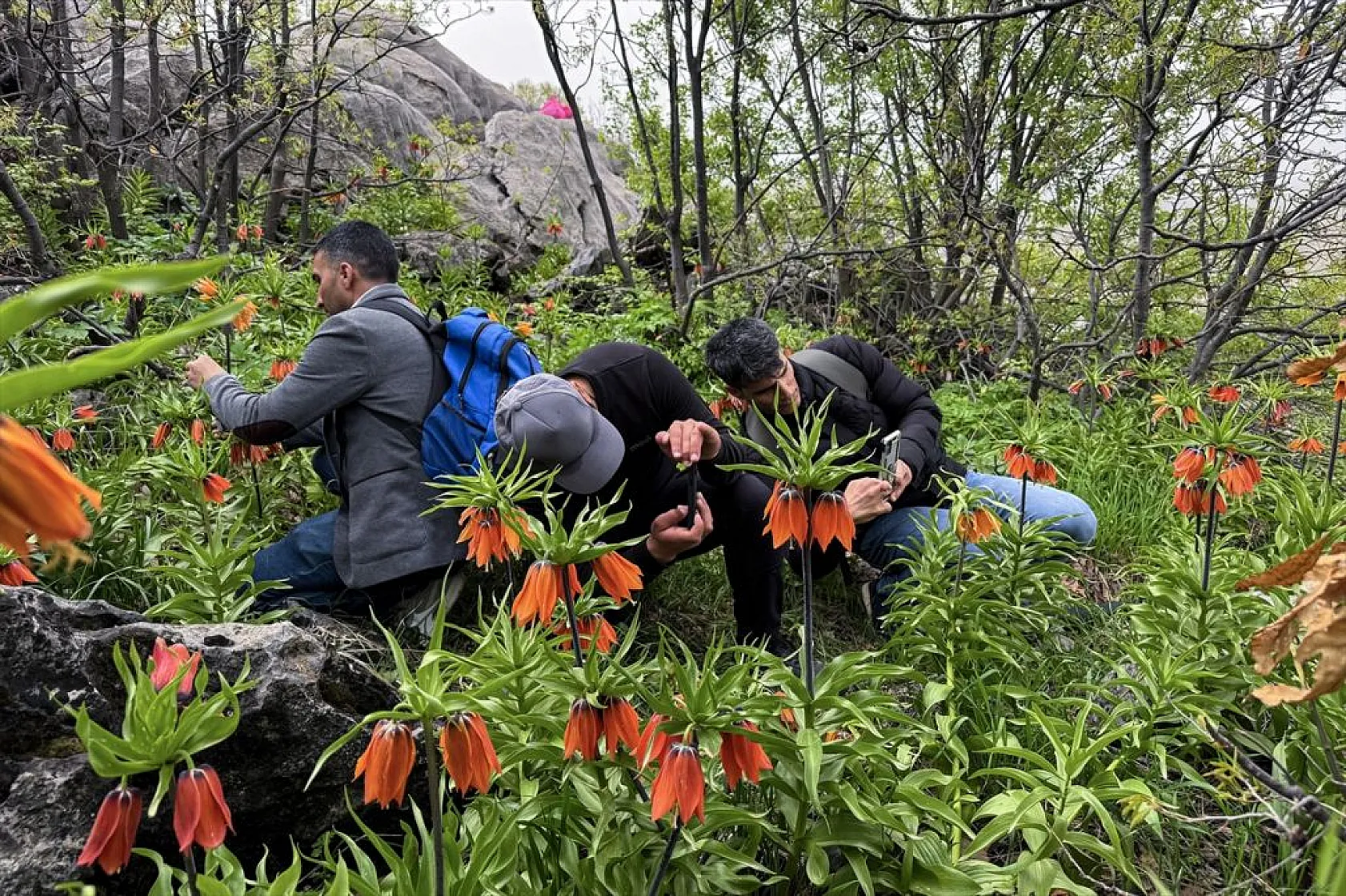 'Ağlayan gelin' için zirveye tırmanış