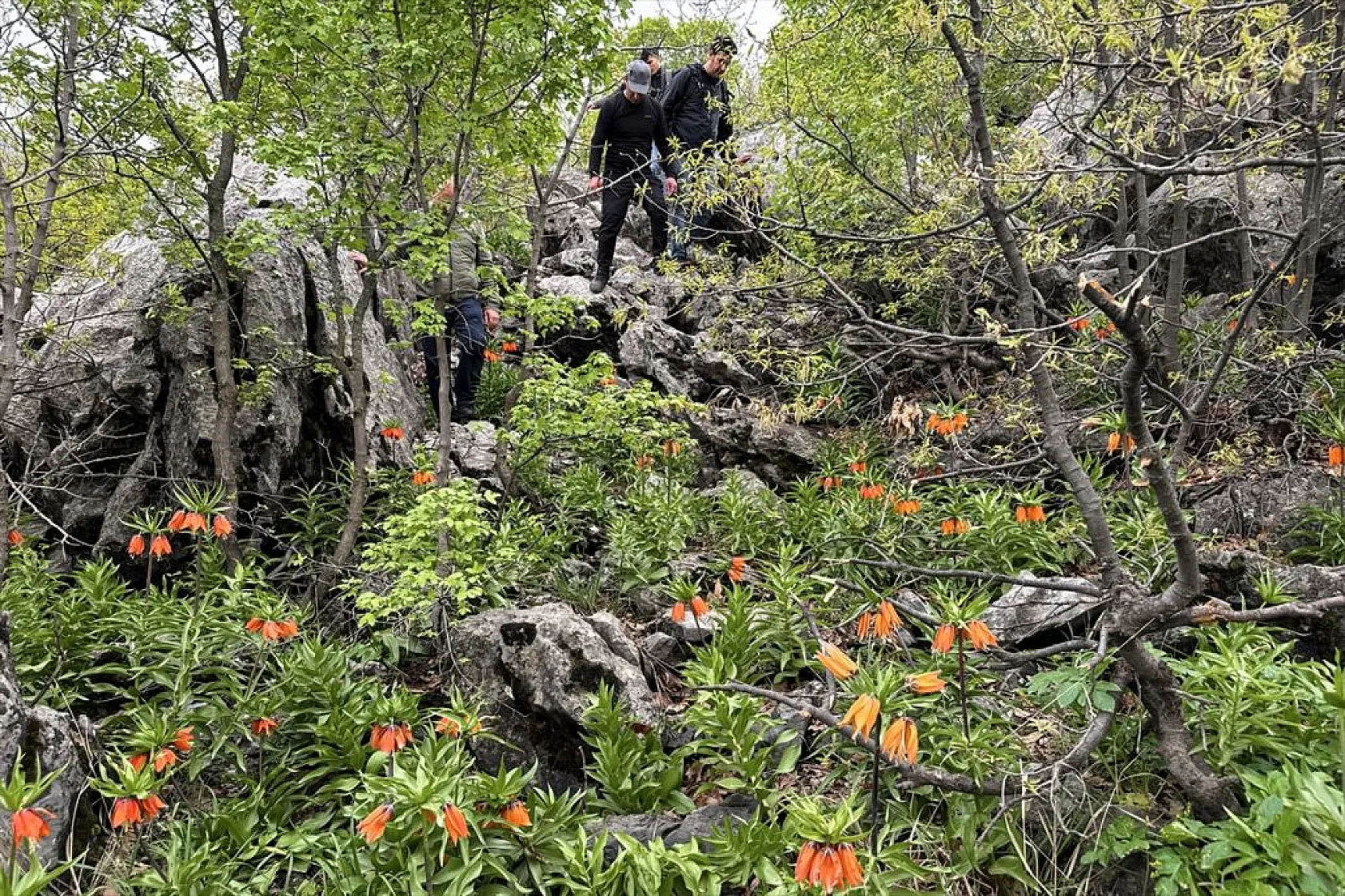 'Ağlayan gelin' için zirveye tırmanış