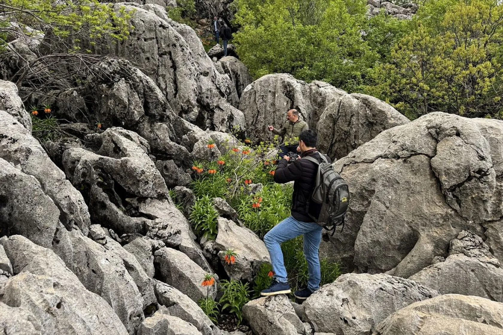 'Ağlayan gelin' için zirveye tırmanış